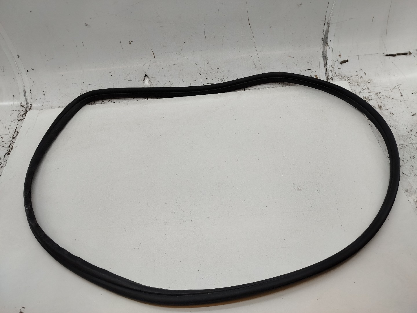 Borracha Porta Tras Esquerdo FIAT PUNTO EVO (199_) | 08 - 