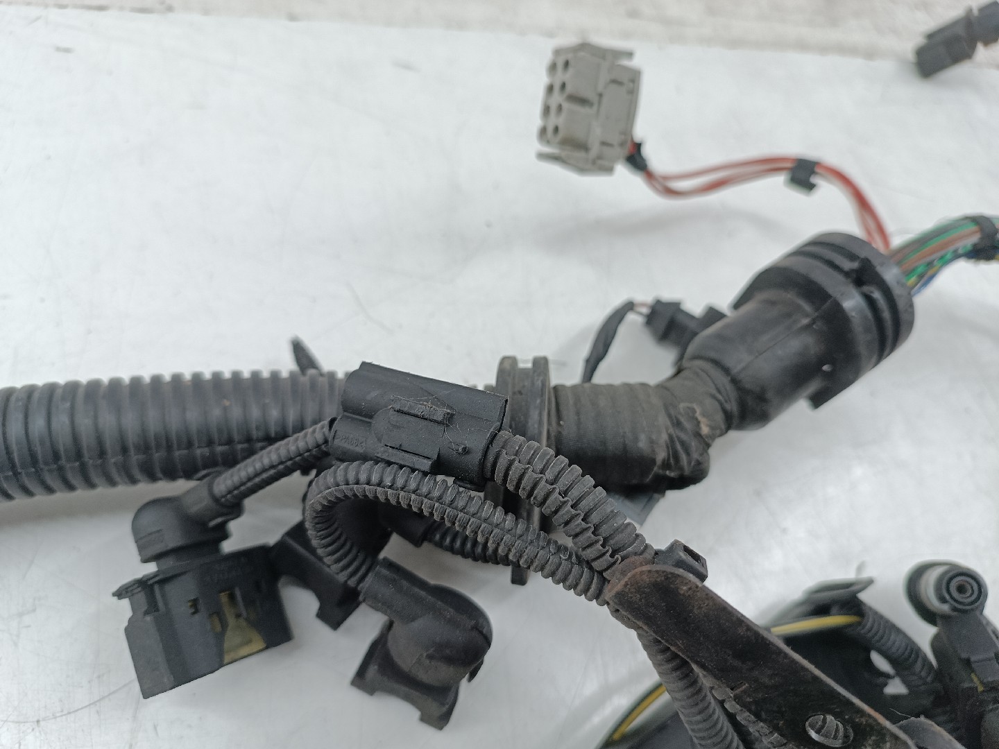 Instalação Elétrica do Motor BMW 3 Coupé (E46) | 98 - 06 Imagem-5