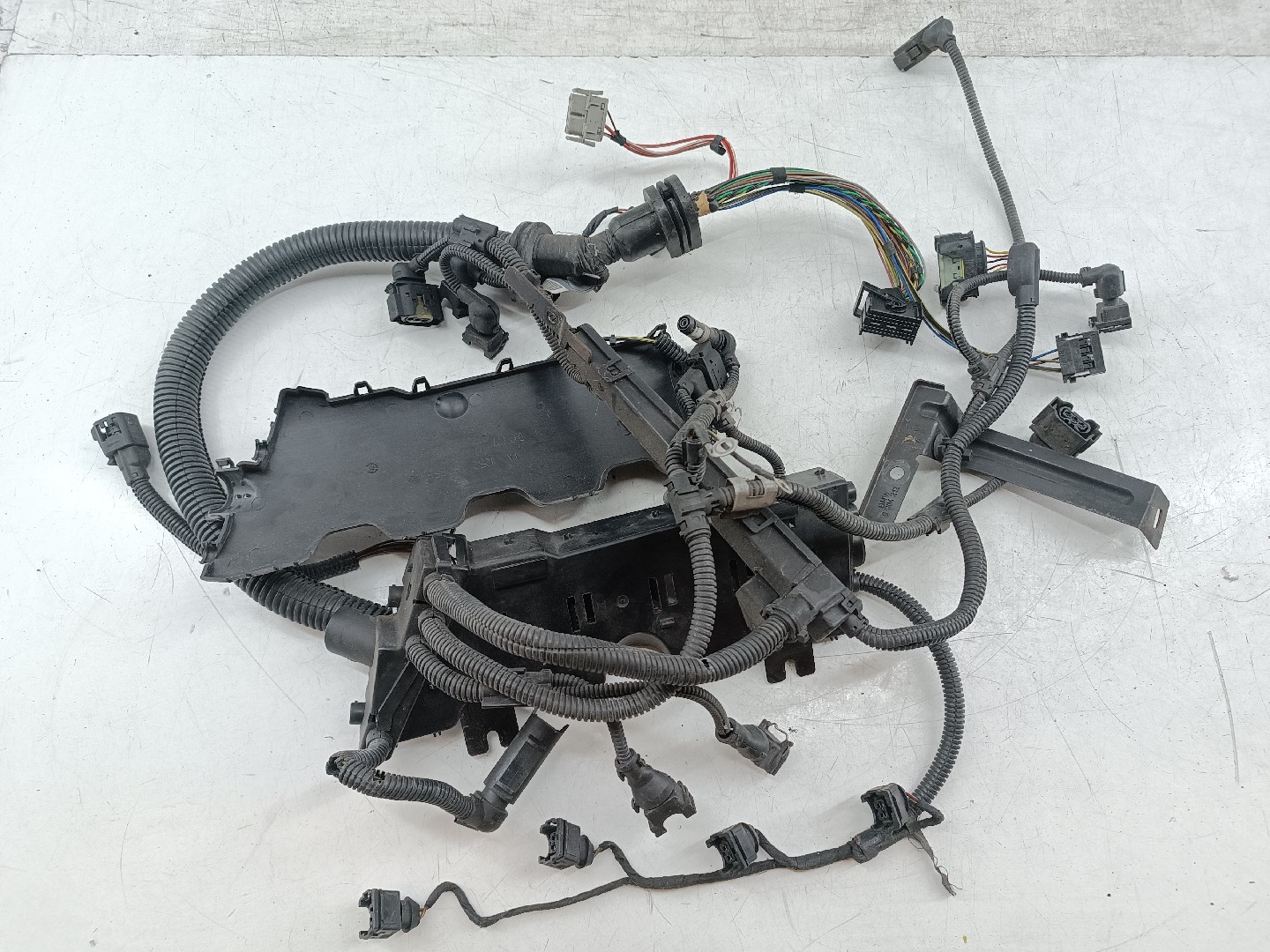 Instalação Elétrica do Motor BMW 3 Coupé (E46) | 98 - 06 Imagem-6