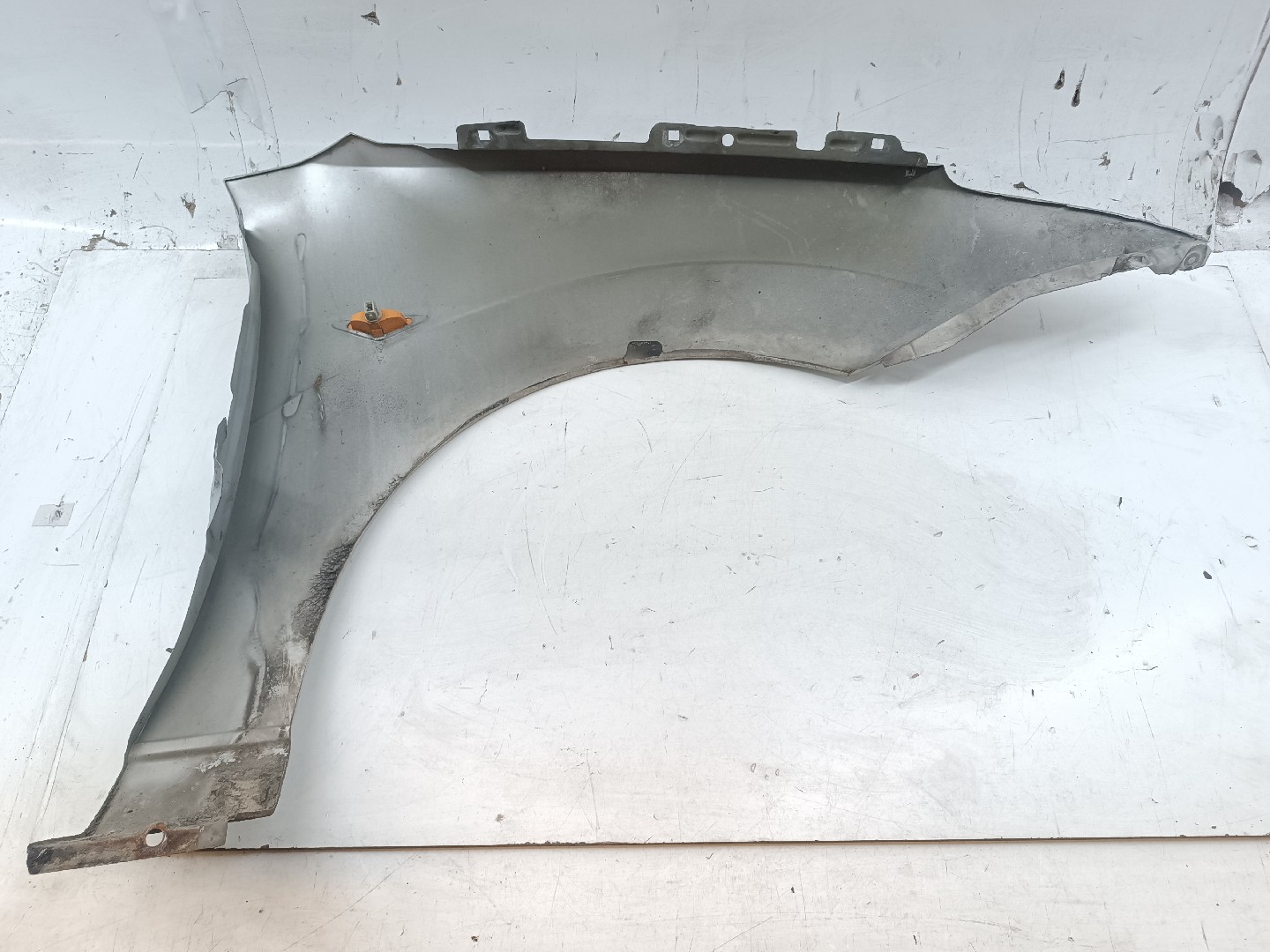 Guarda Lamas Esquerdo FORD FOCUS Turnier (DNW) | 99 - 07
