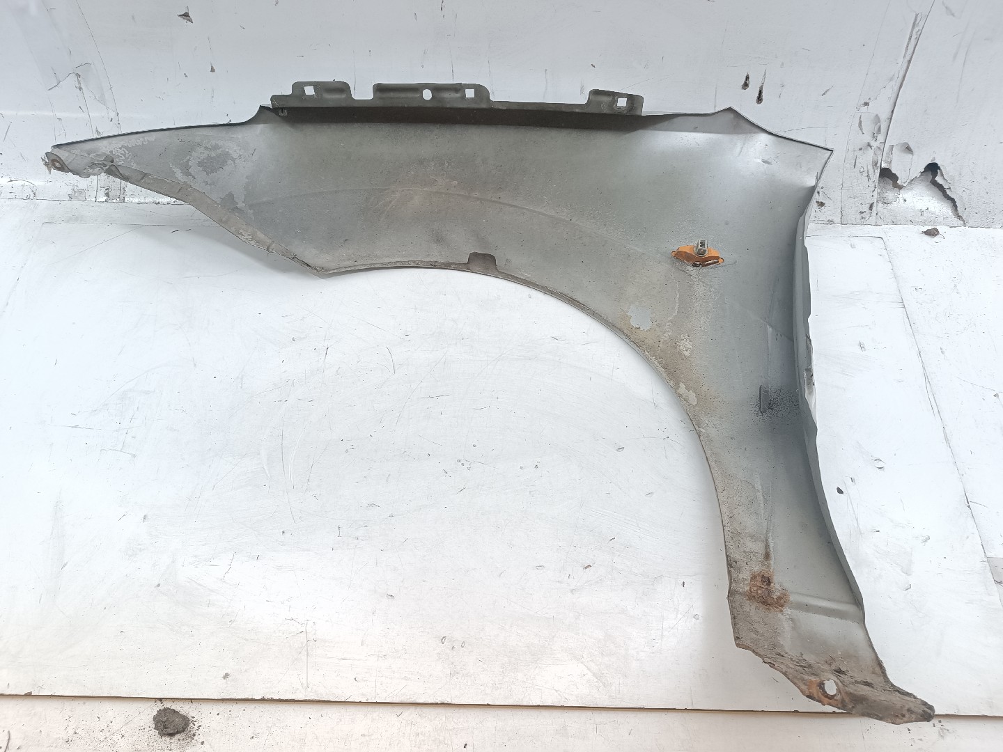 Guarda Lamas Direito FORD FOCUS Turnier (DNW) | 99 - 07