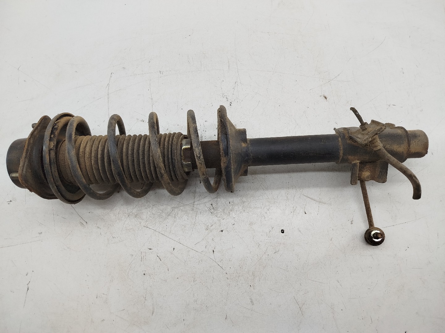 Amortecedor traseiro esquerdo NISSAN PRIMERA (P10) | 90 - 96