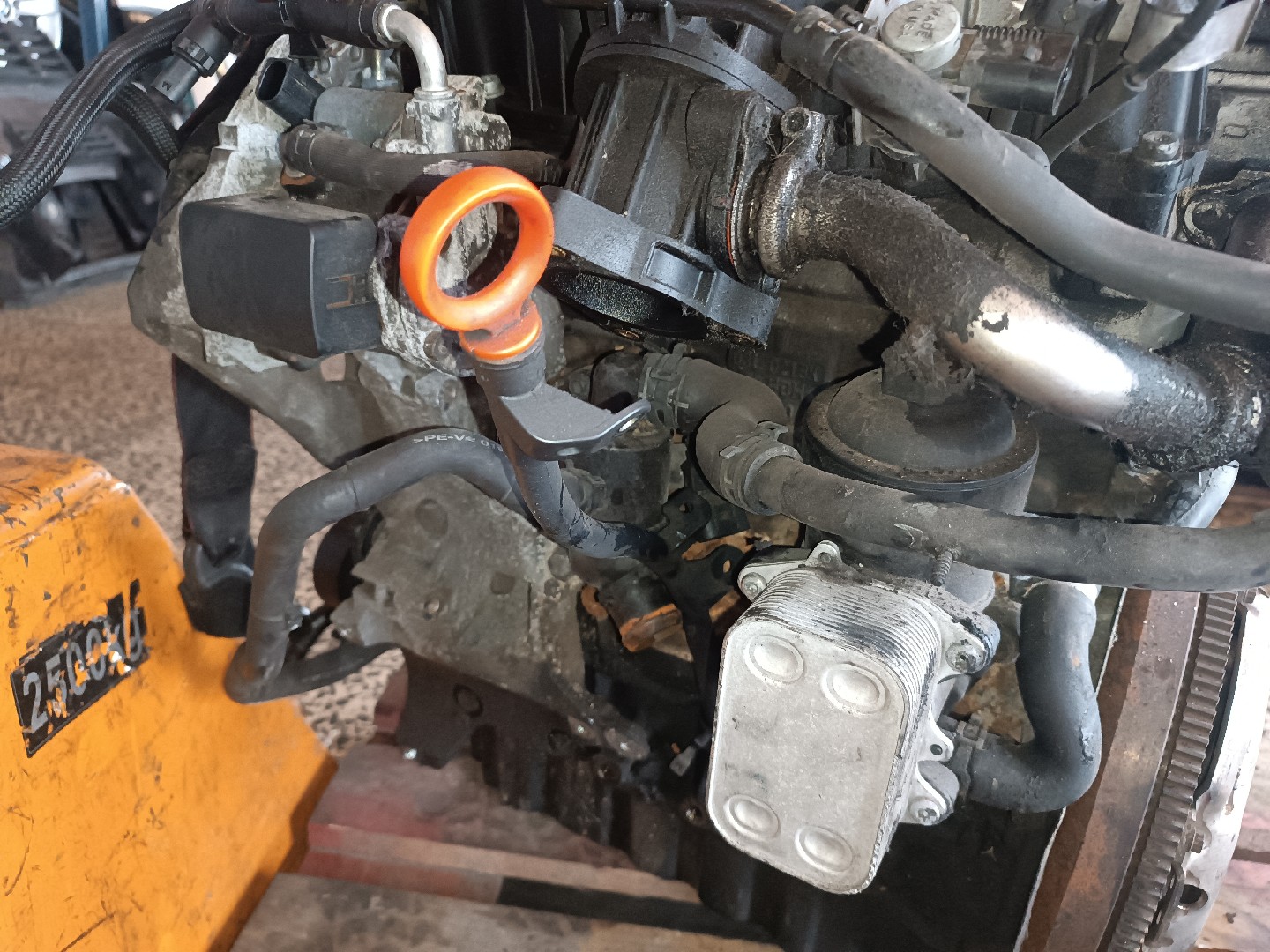 Motor SKODA OCTAVIA II (1Z3) | 04 - 13 Imagem-1