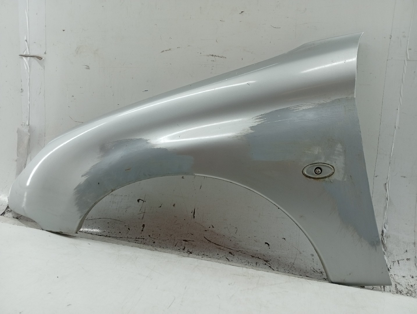 Guarda Lamas Esquerdo PEUGEOT 206 CC (2D) | 00 - 08 Imagem-1