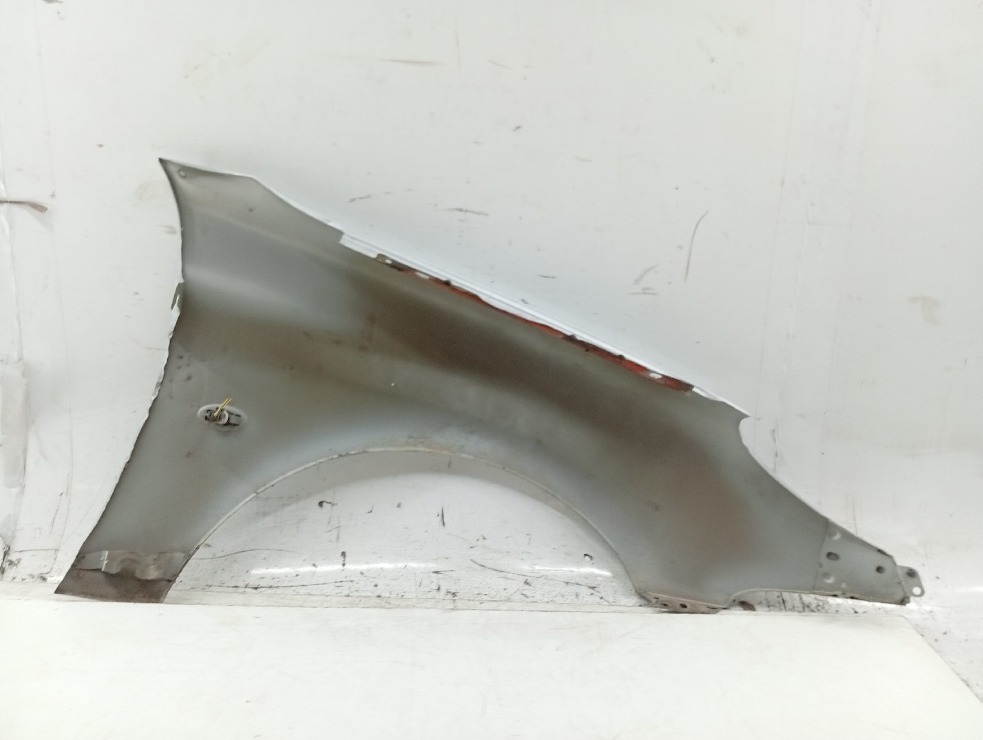 Guarda Lamas Esquerdo PEUGEOT 206 CC (2D) | 00 - 08 Imagem-3