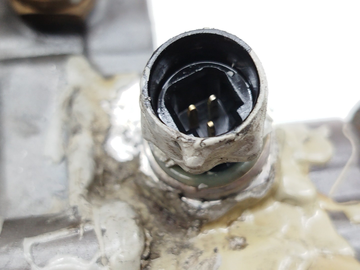 Permutador de Óleo BMW 3 Coupé (E46) | 98 - 06 Imagem-5