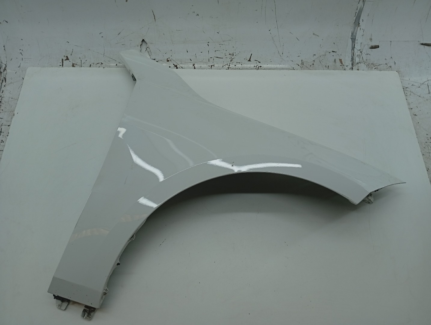 Guarda Lamas Direito BMW 1 (F40) | 19 - 
