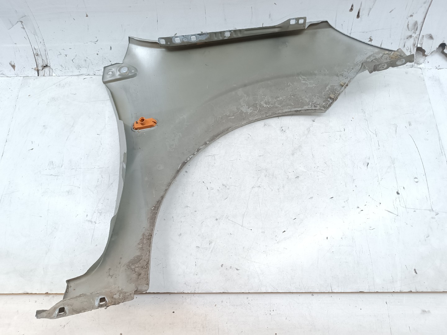 Guarda Lamas Esquerdo FORD FIESTA V (JH_, JD_) | 01 - 14