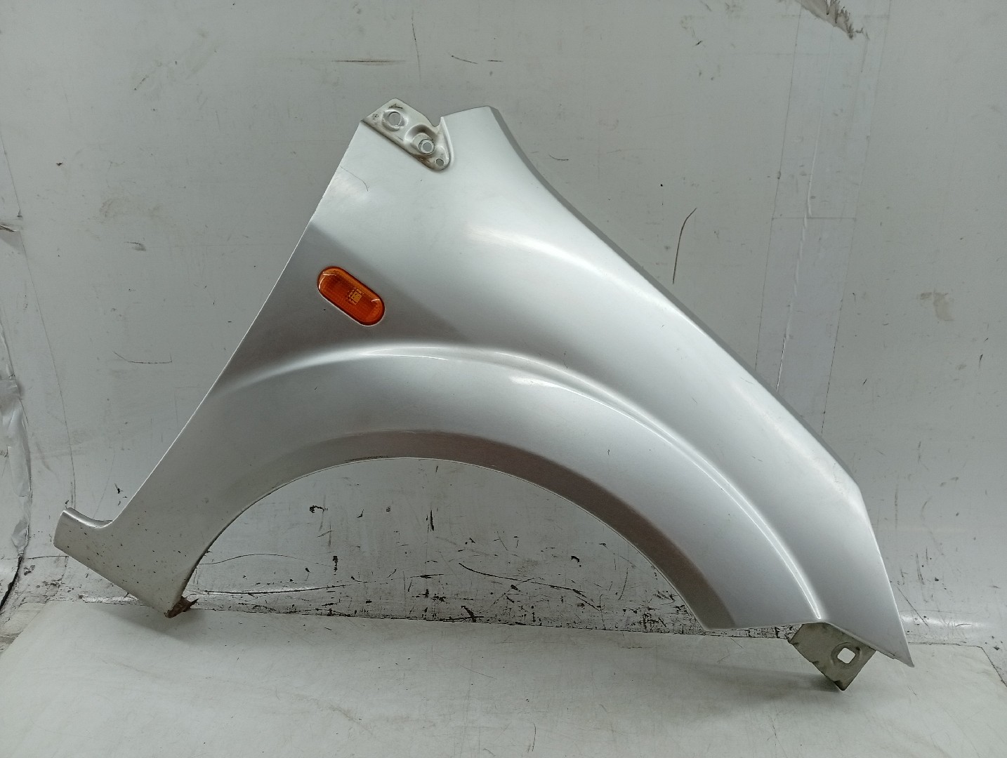 Guarda Lamas Direito FORD FIESTA V (JH_, JD_) | 01 - 14