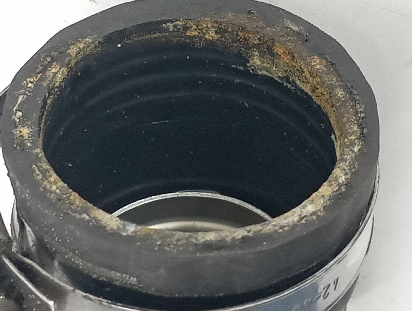 Tubo de Água BMW 1 (E87) | 03 - 13 Imagem-3