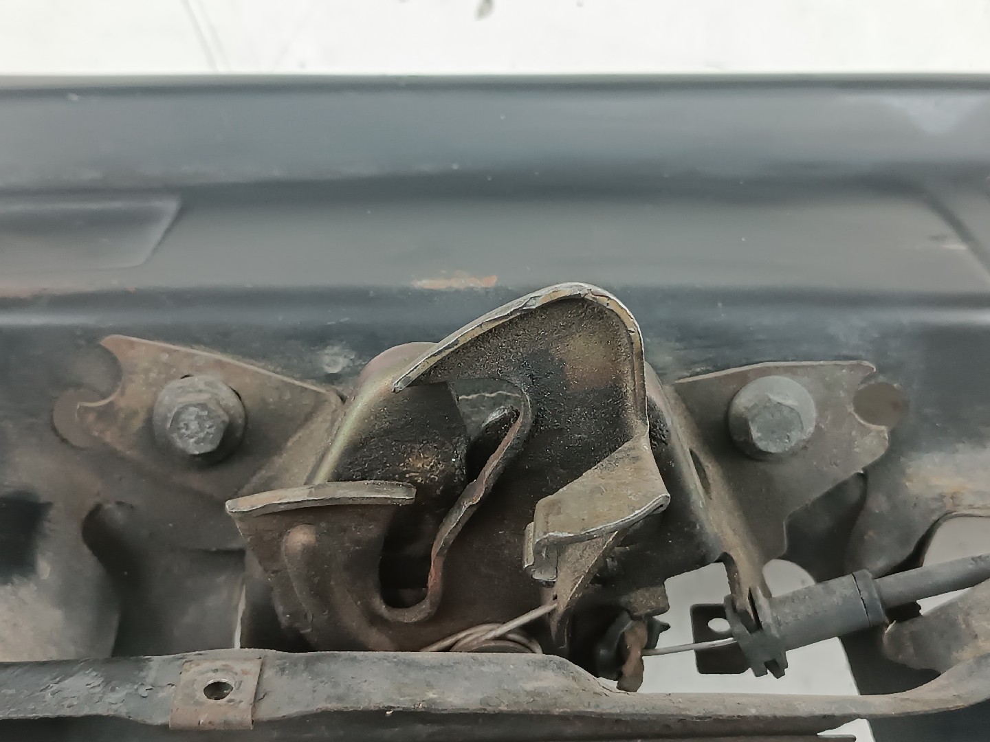 Frente em Fibra ou Chapa VOLKSWAGEN CADDY II Combi (9K9B) | 95 - 04 Imagem-4