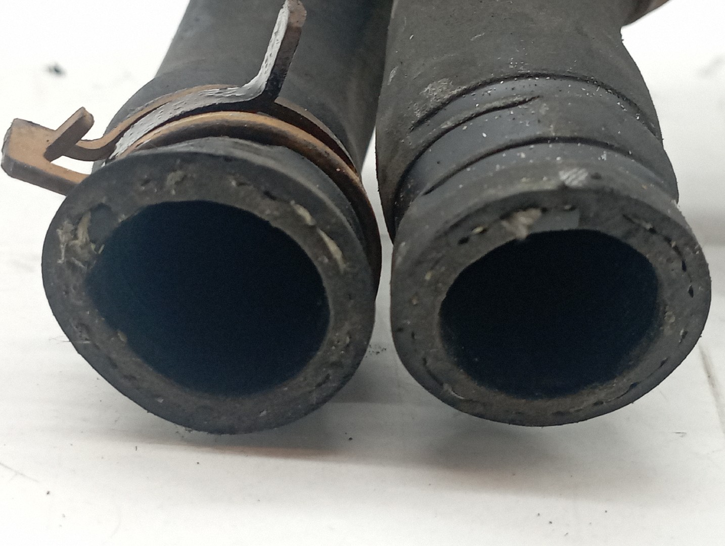 Radiador do Óleo RENAULT MEGANE II três volumes (LM0/1_) | 03 -  Imagem-4