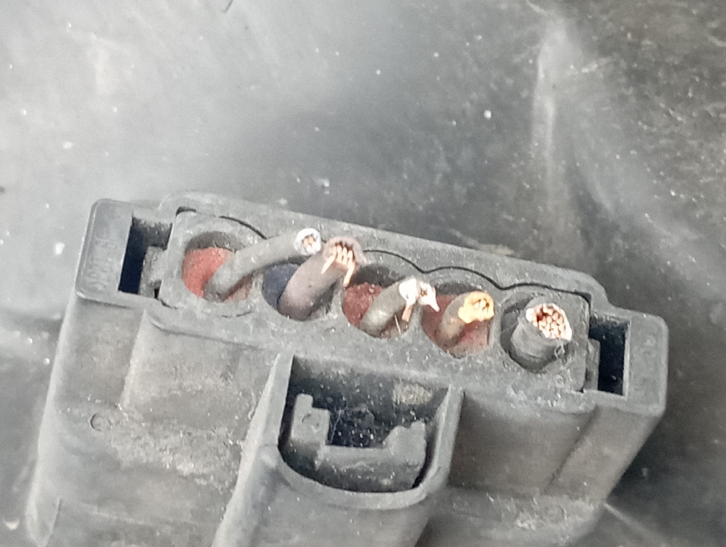 Ótica Direita RENAULT CLIO II (BB_, CB_) | 98 -  Imagem-6