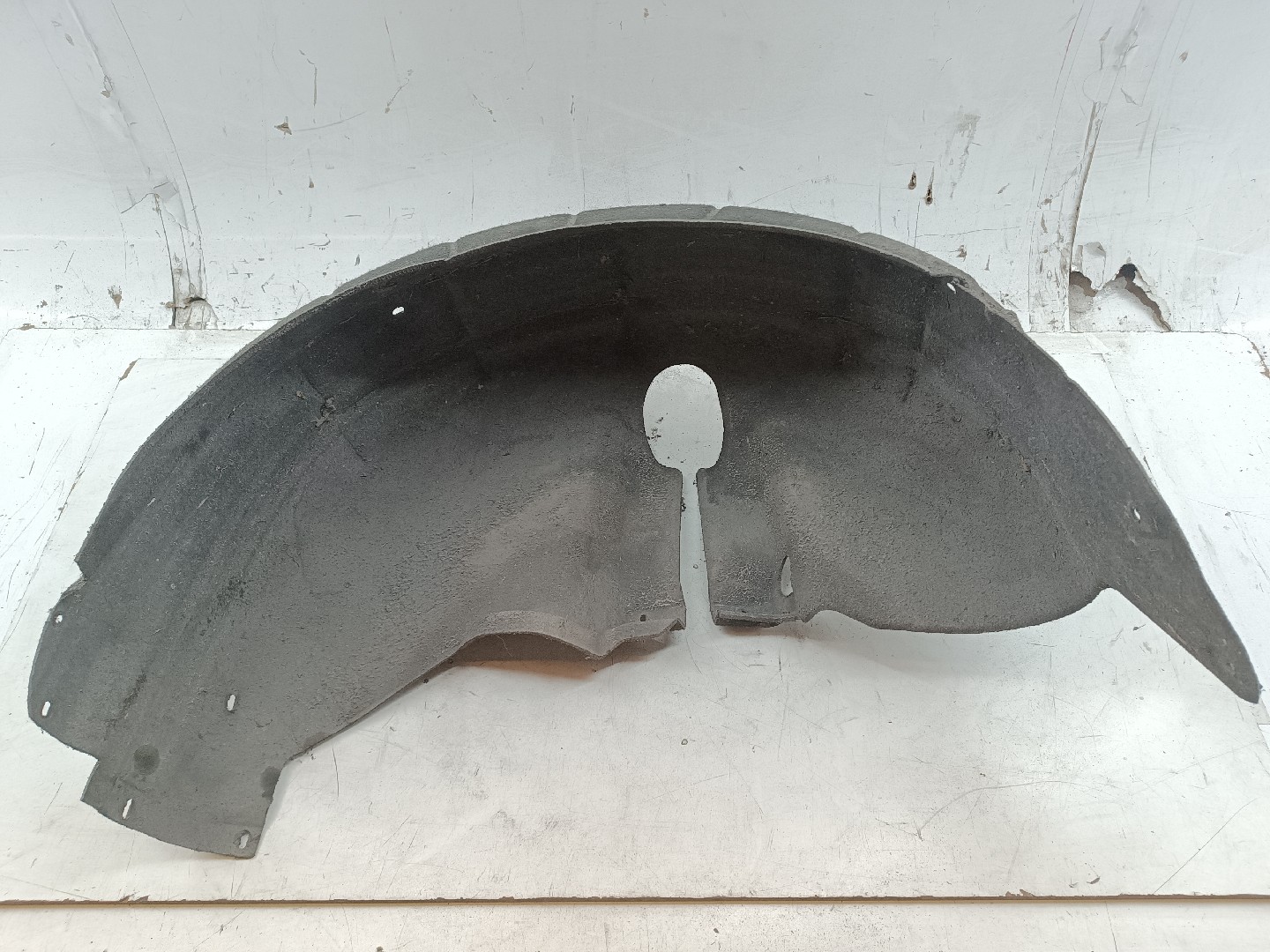 Cava de Roda Traseira Esquerda AUDI A4 Avant (8ED, B7) | 04 - 08