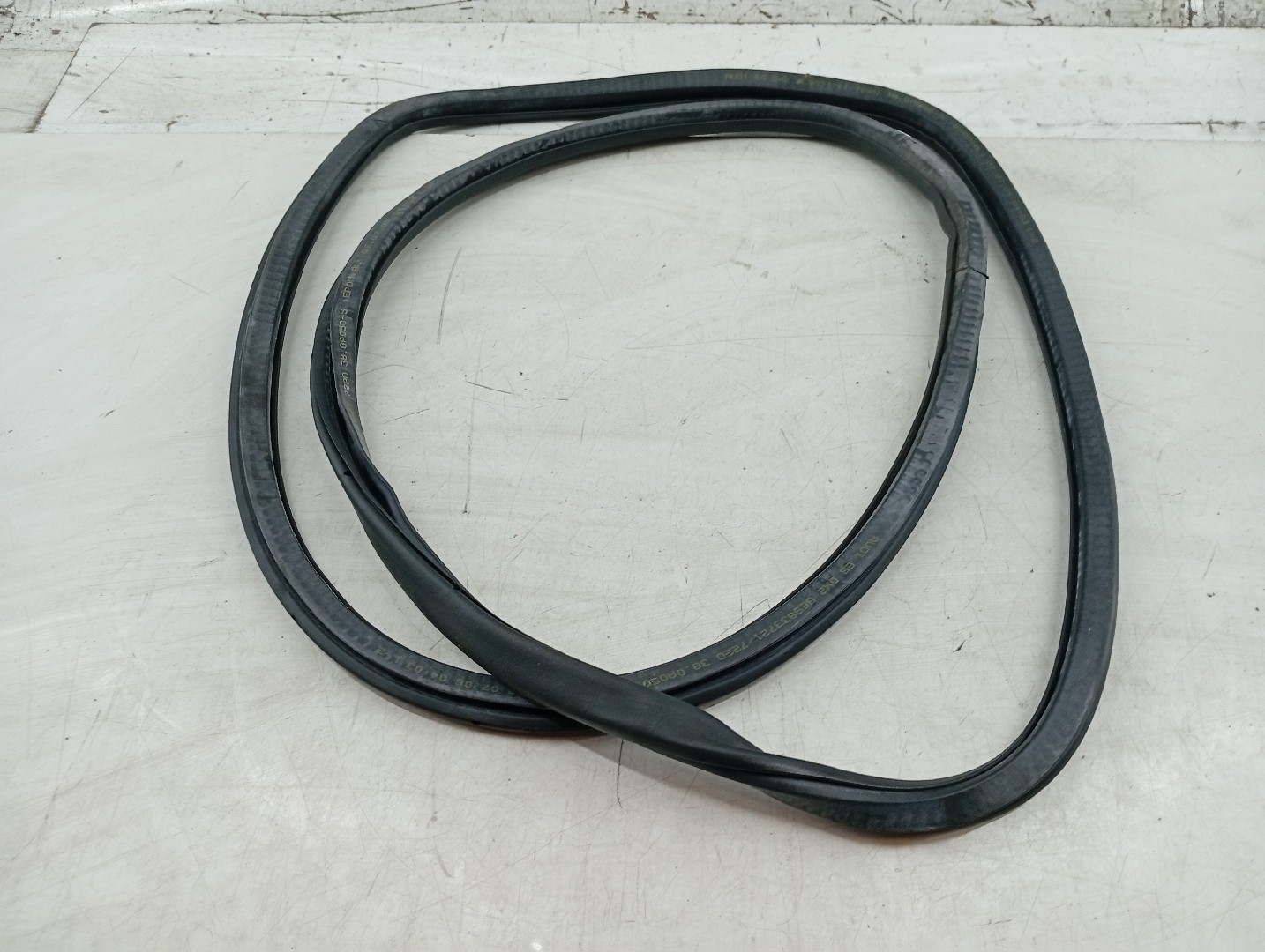 Borracha Da Porta Traseira Esquerda AUDI A4 Avant (8ED, B7) | 04 - 08 Imagem-3