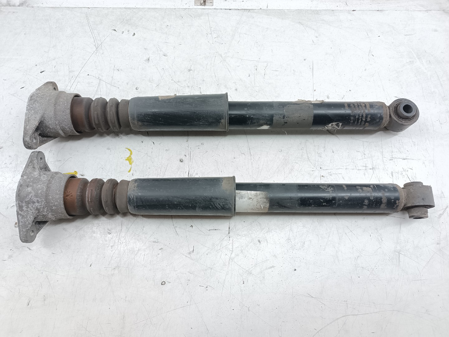 Amortecedores traseiros AUDI A4 Avant (8ED, B7) | 04 - 08