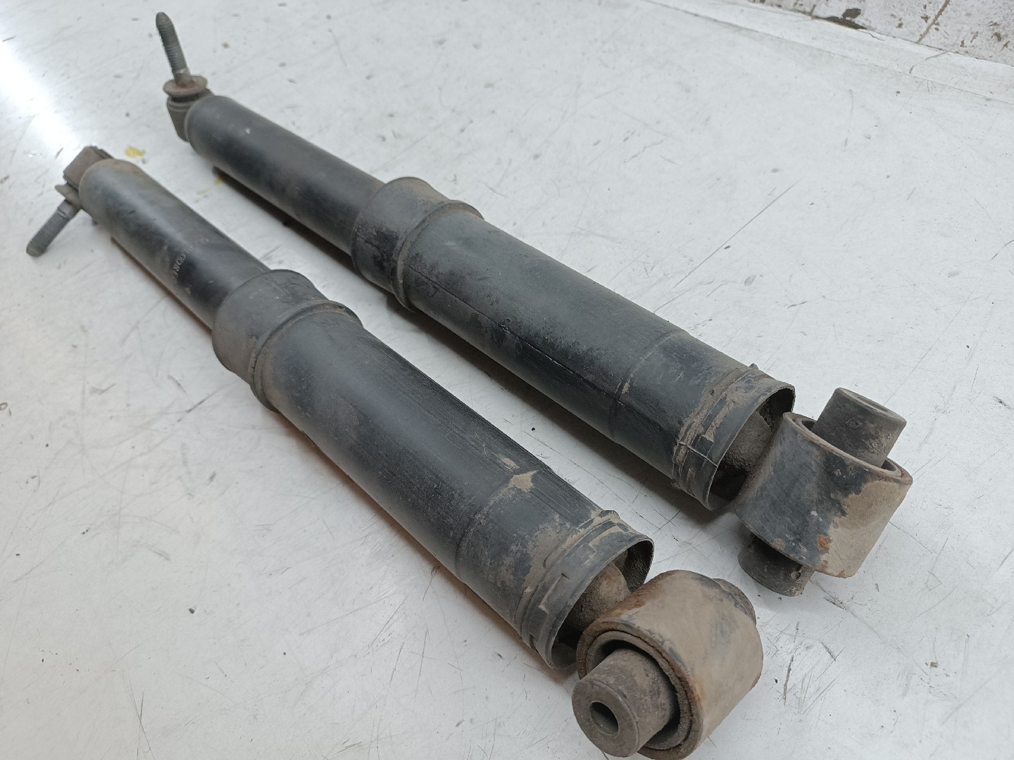 Amortecedores traseiros RENAULT MEGANE II três volumes (LM0/1_) | 03 -  Imagem-4