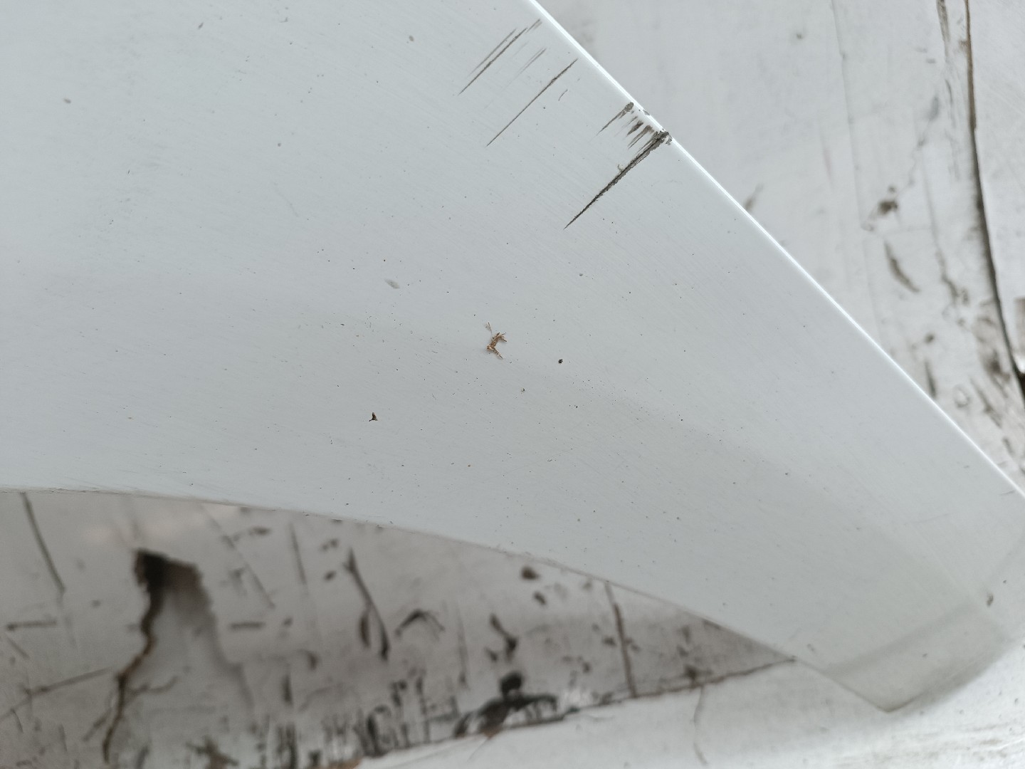 Guarda Lamas Esquerdo FORD TOURNEO COURIER B460 Kombi | 14 -  Imagem-5