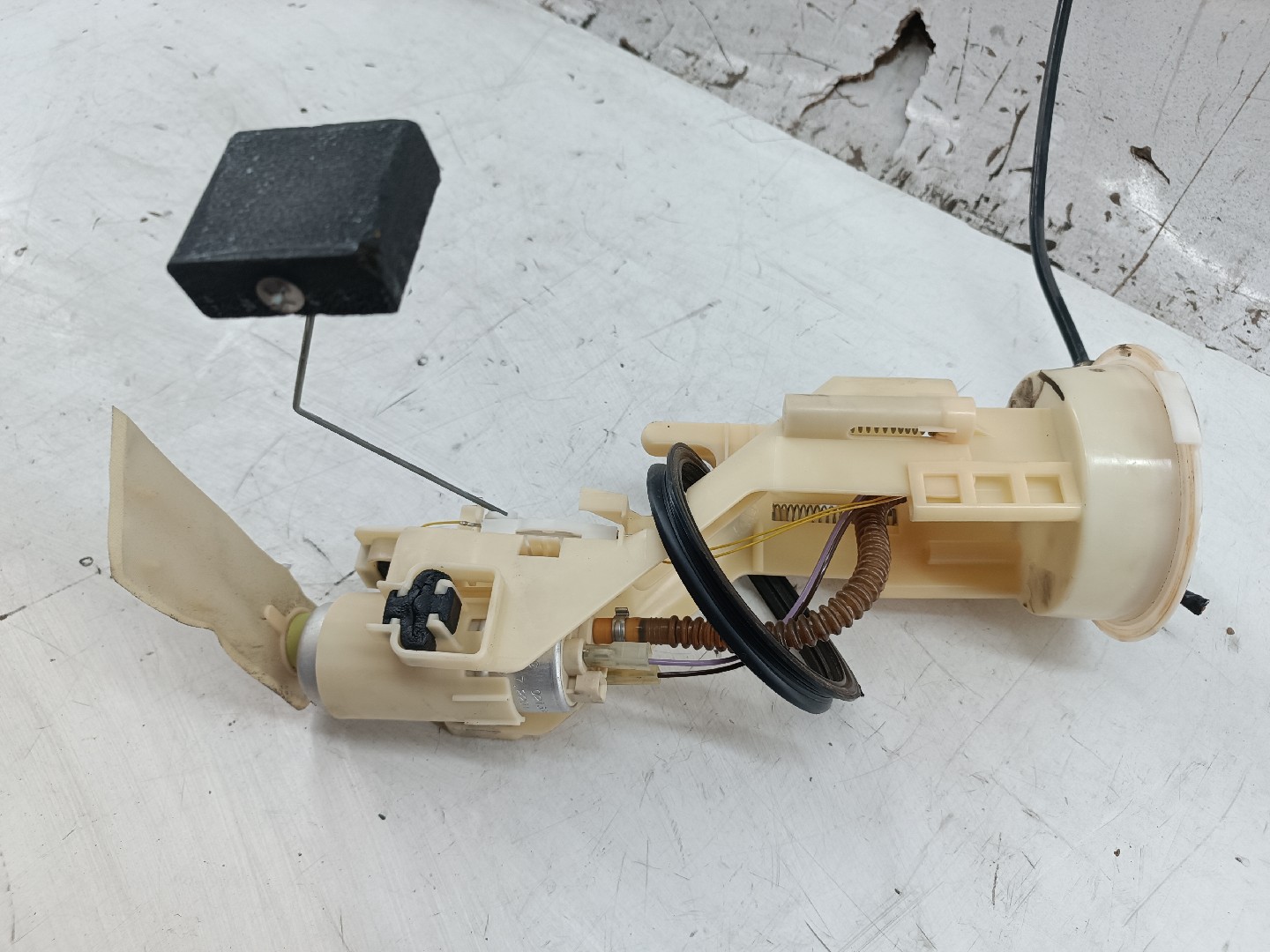 Bomba de Combustível BMW X5 (E53) | 00 - 06