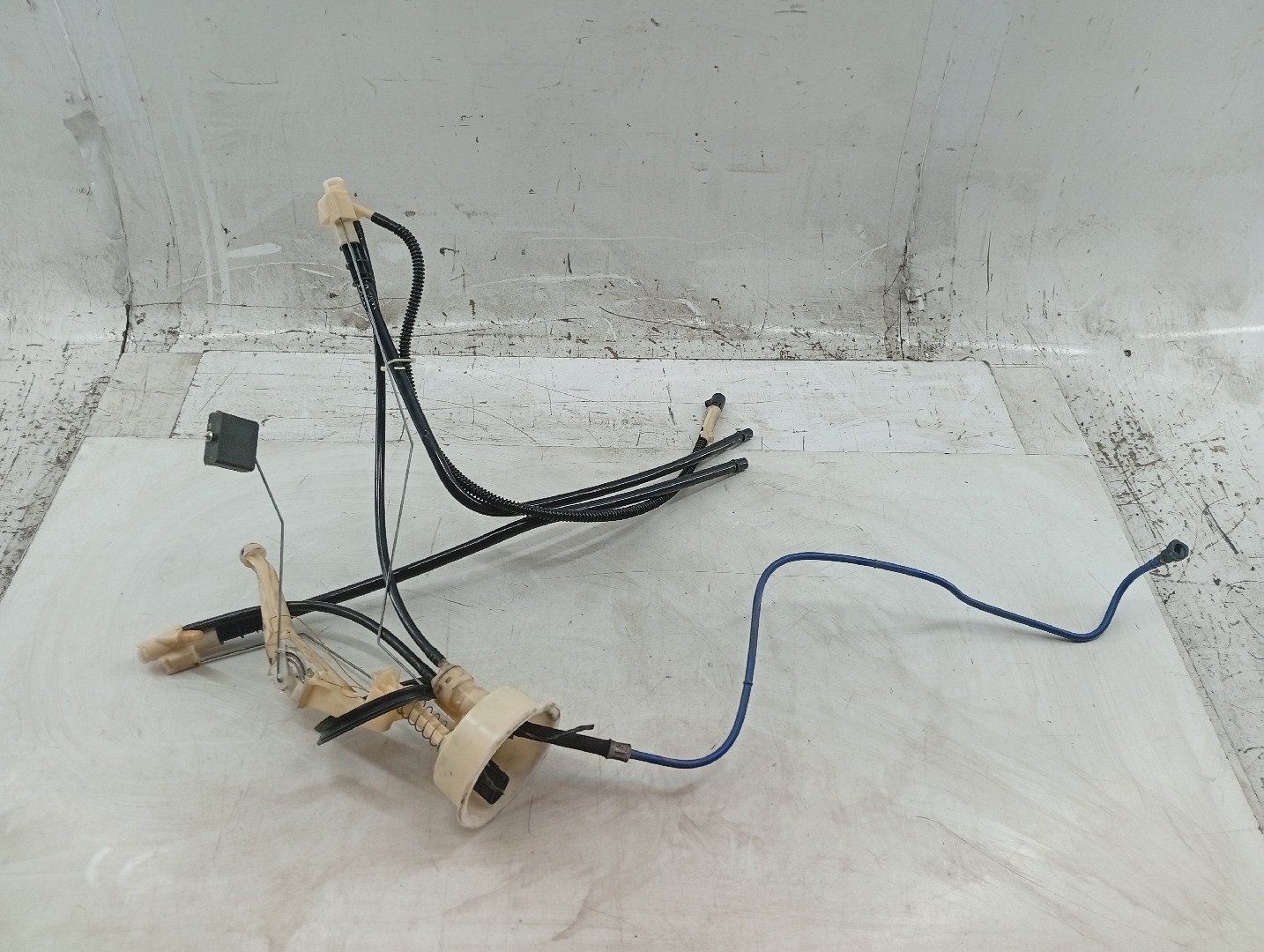 Boia do Combustível BMW X5 (E53) | 00 - 06