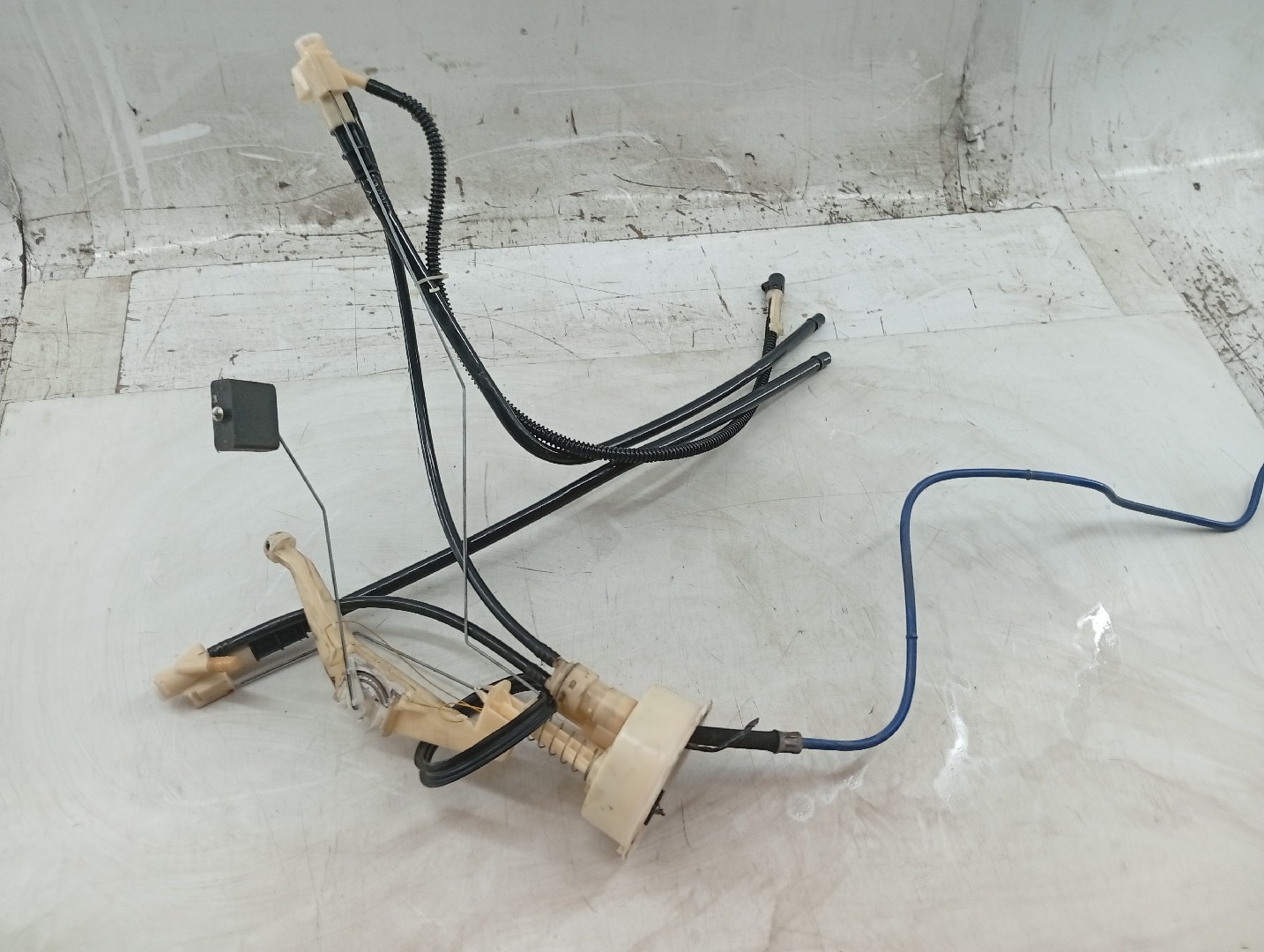 Boia do Combustível BMW X5 (E53) | 00 - 06 Imagem-4