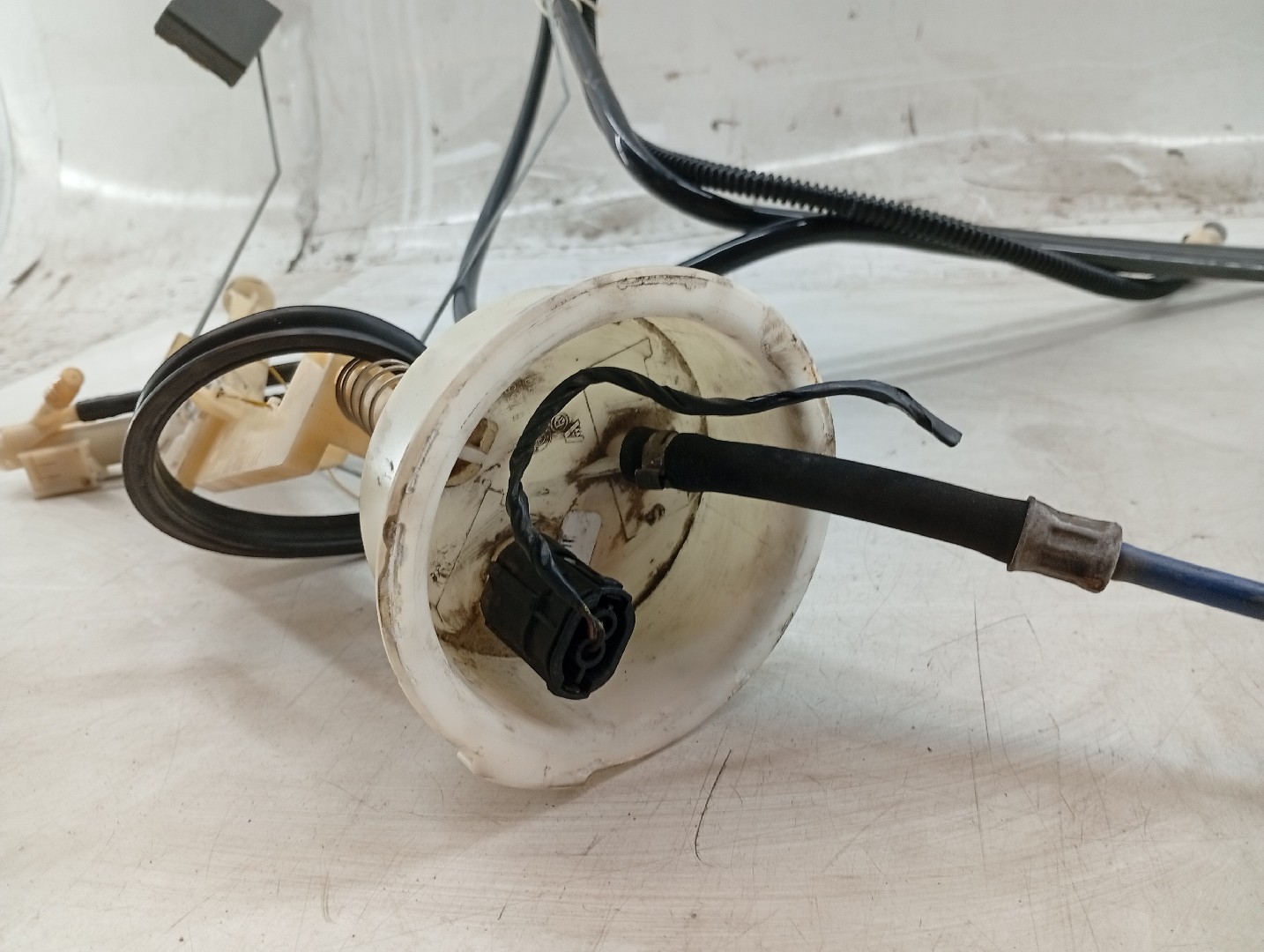 Boia do Combustível BMW X5 (E53) | 00 - 06 Imagem-2