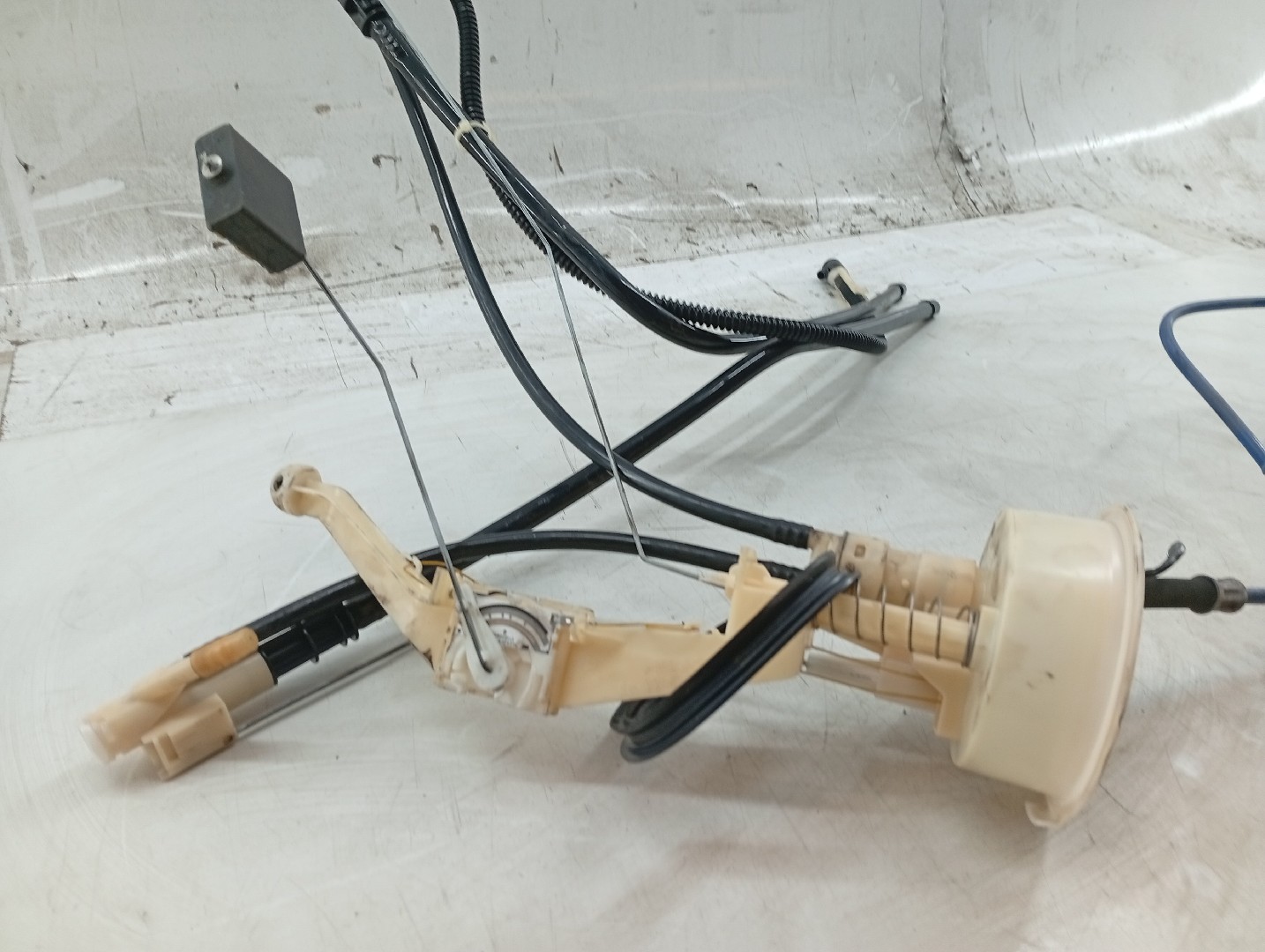 Boia do Combustível BMW X5 (E53) | 00 - 06 Imagem-1