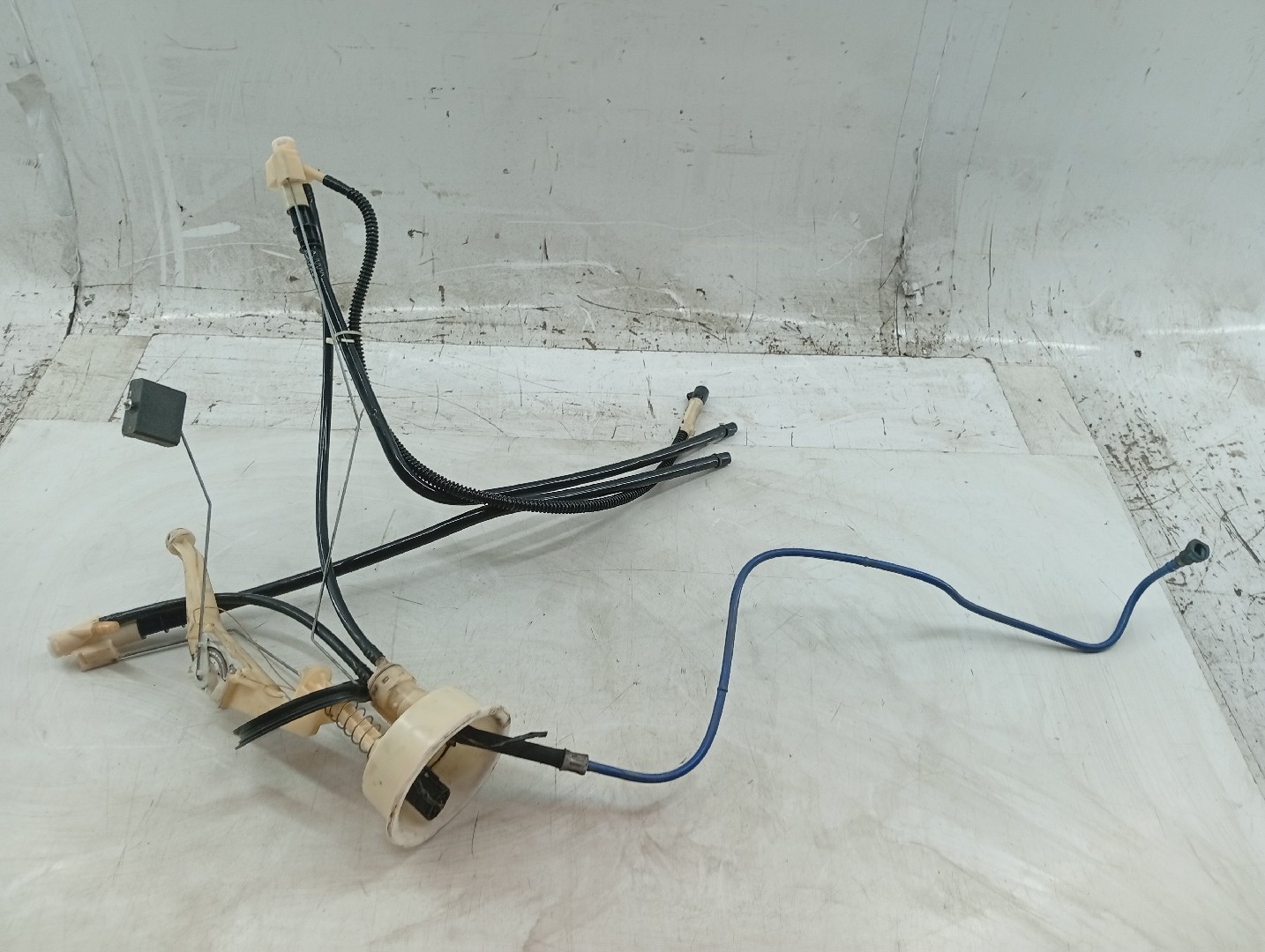 Boia do Combustível BMW X5 (E53) | 00 - 06 Imagem-3