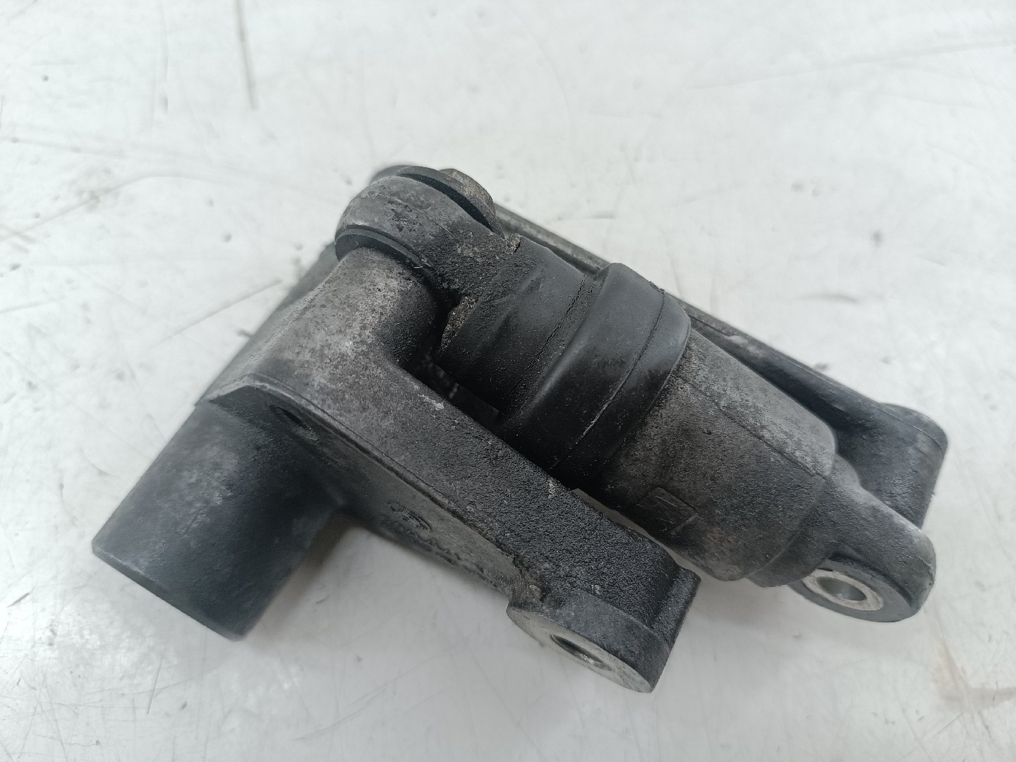 Rolo tensor, correia trapezoidal BMW 3 (E46) | 97 - 05 Imagem-4