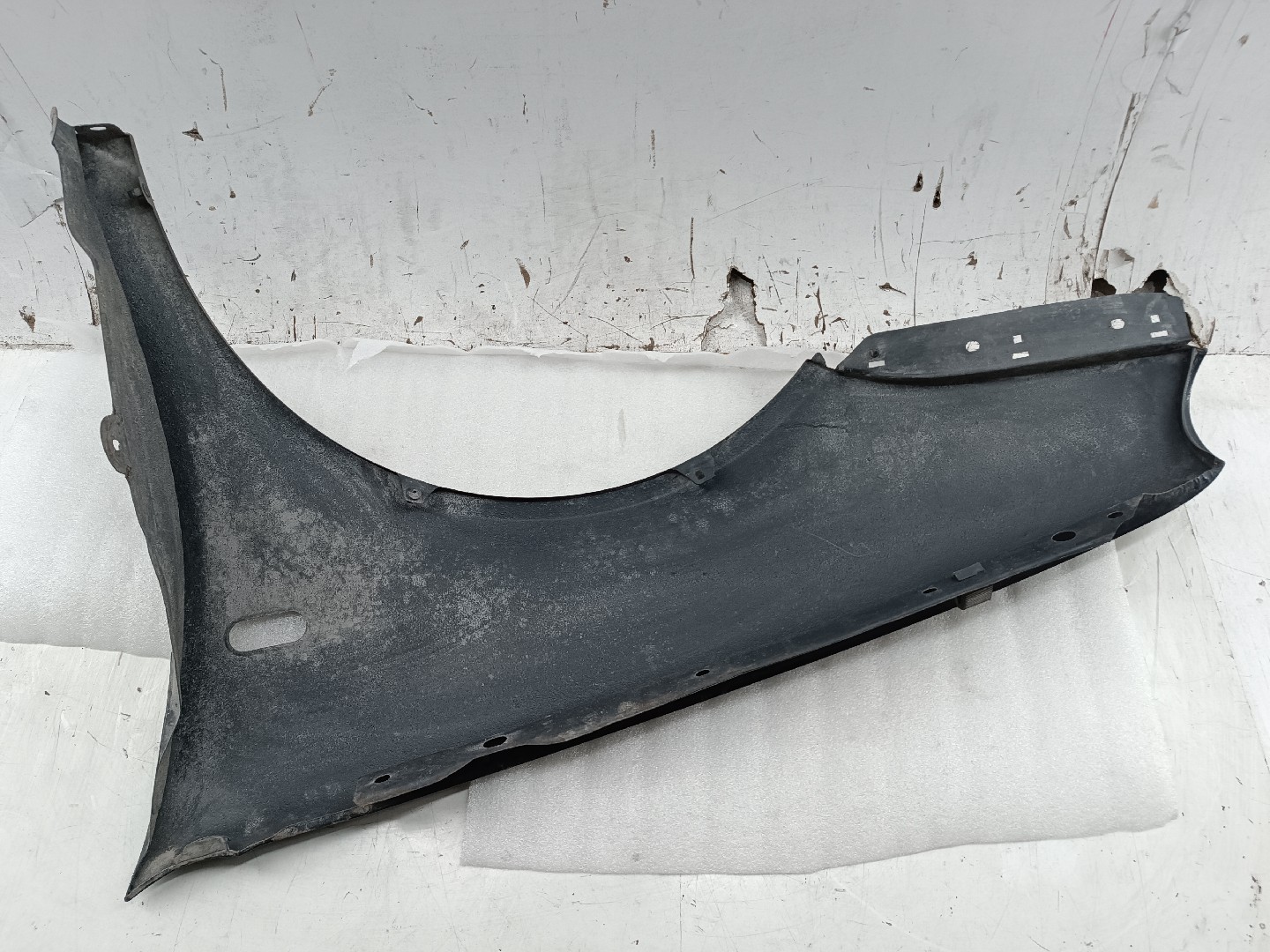 Guarda Lamas Direito VOLKSWAGEN GOLF IV (1J1) | 97 - 07