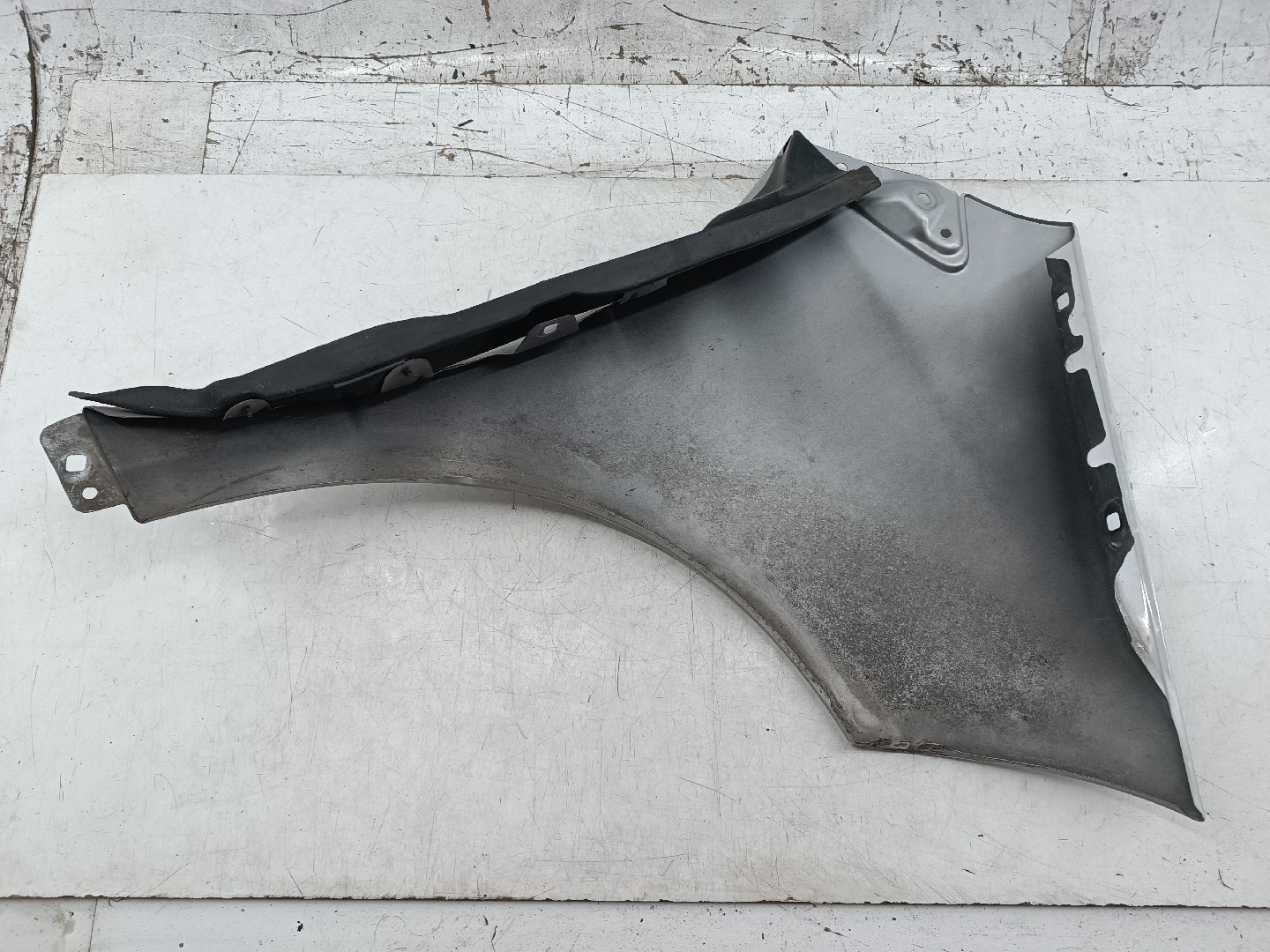 Guarda Lamas Esquerdo MERCEDES-BENZ A-CLASS (W169) | 04 - 12