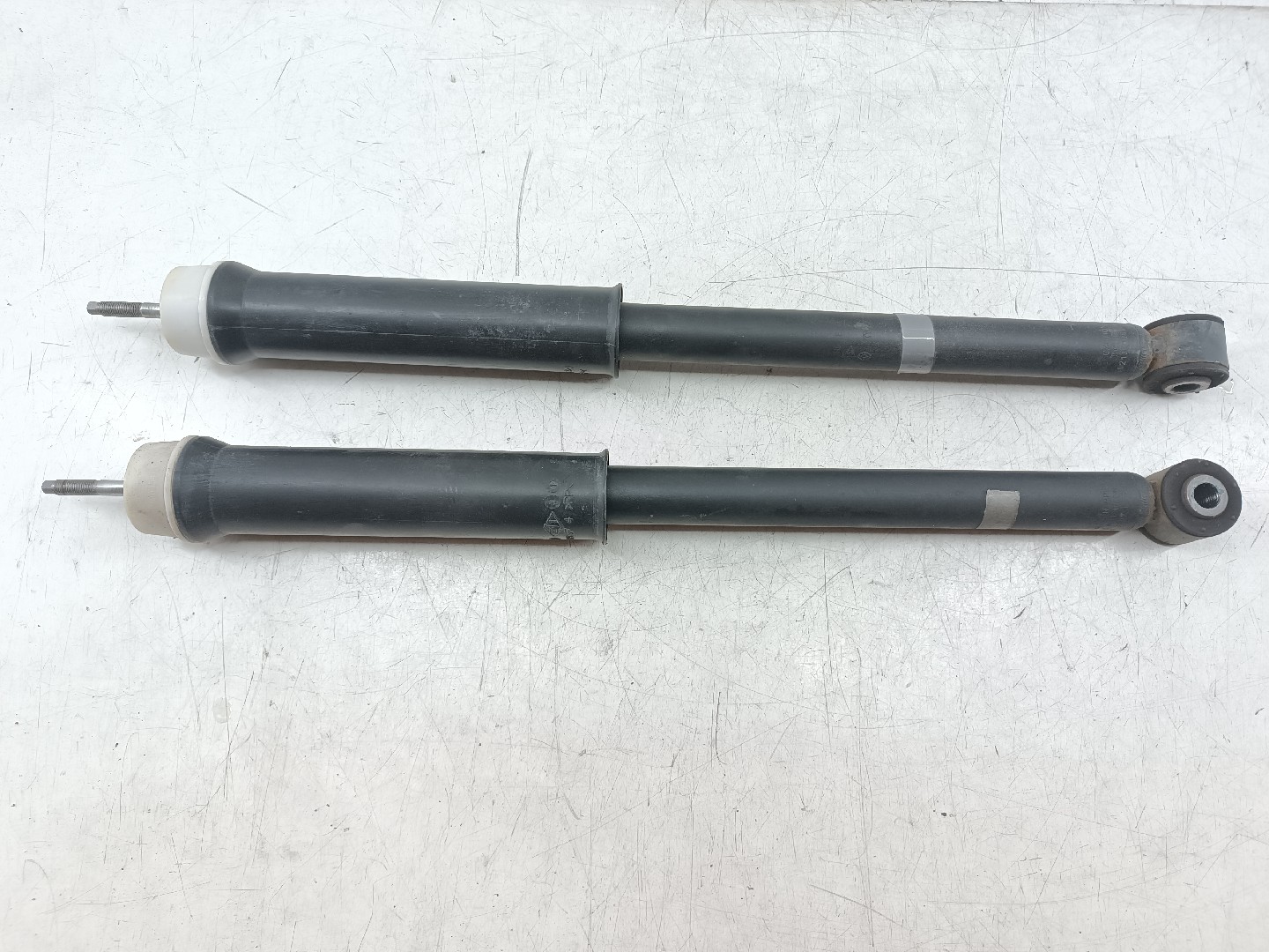 Amortecedores traseiros RENAULT CLIO V (BF_) | 19 - 