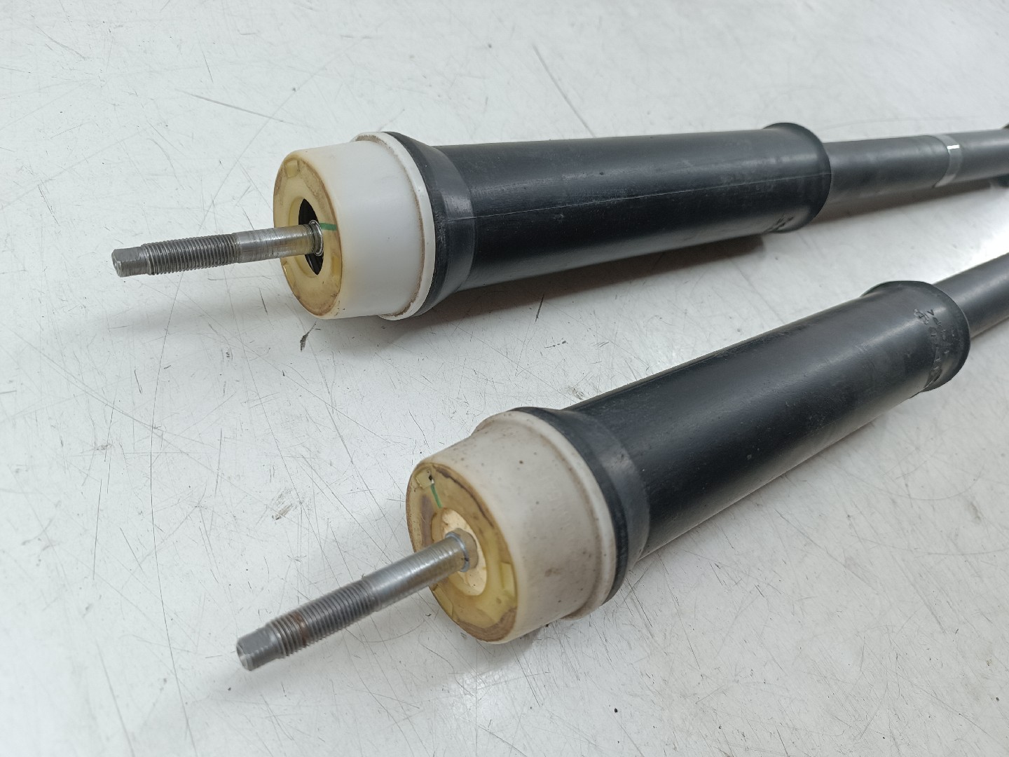 Amortecedores traseiros RENAULT CLIO V (BF_) | 19 -  Imagem-2