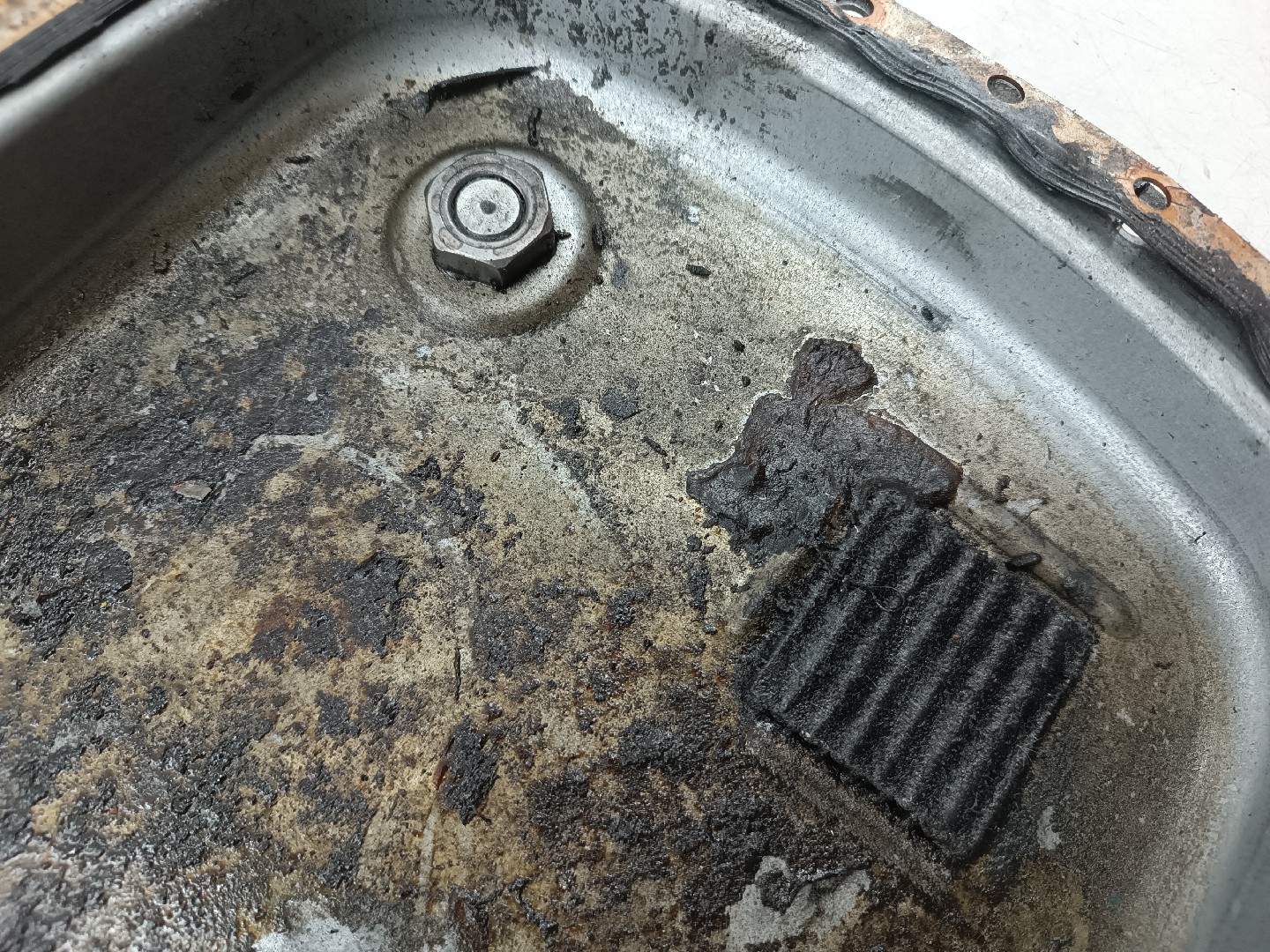 Cárter de óleo BMW 5 (E39) | 95 - 03 Imagem-3