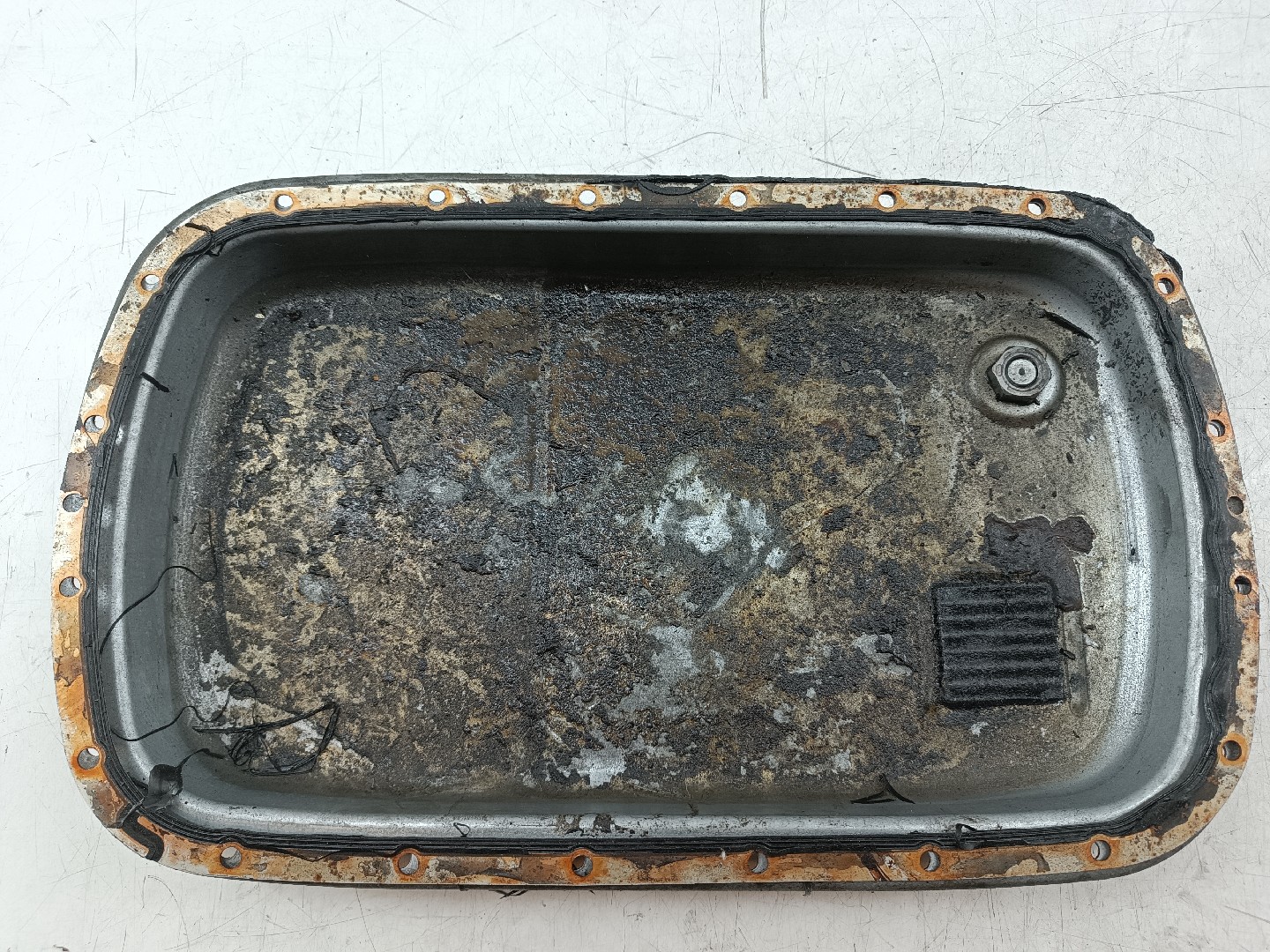 Cárter de óleo BMW 5 (E39) | 95 - 03 Imagem-4