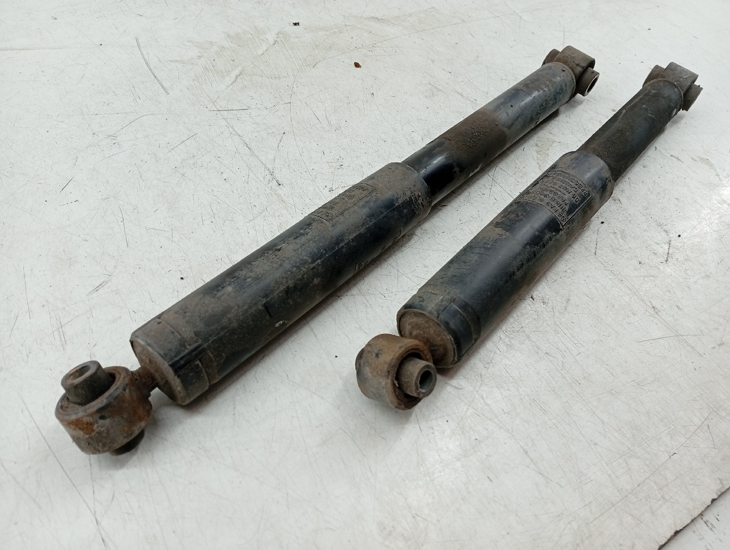 Amortecedores traseiros CITROEN C3 I (FC_, FN_) | 02 -  Imagem-1