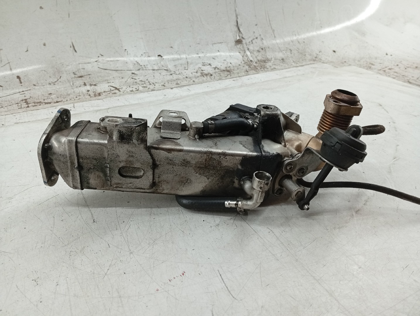 Válvula EGR Com Radiador BMW 3 (F30, F80) | 11 - 18 Imagem-4