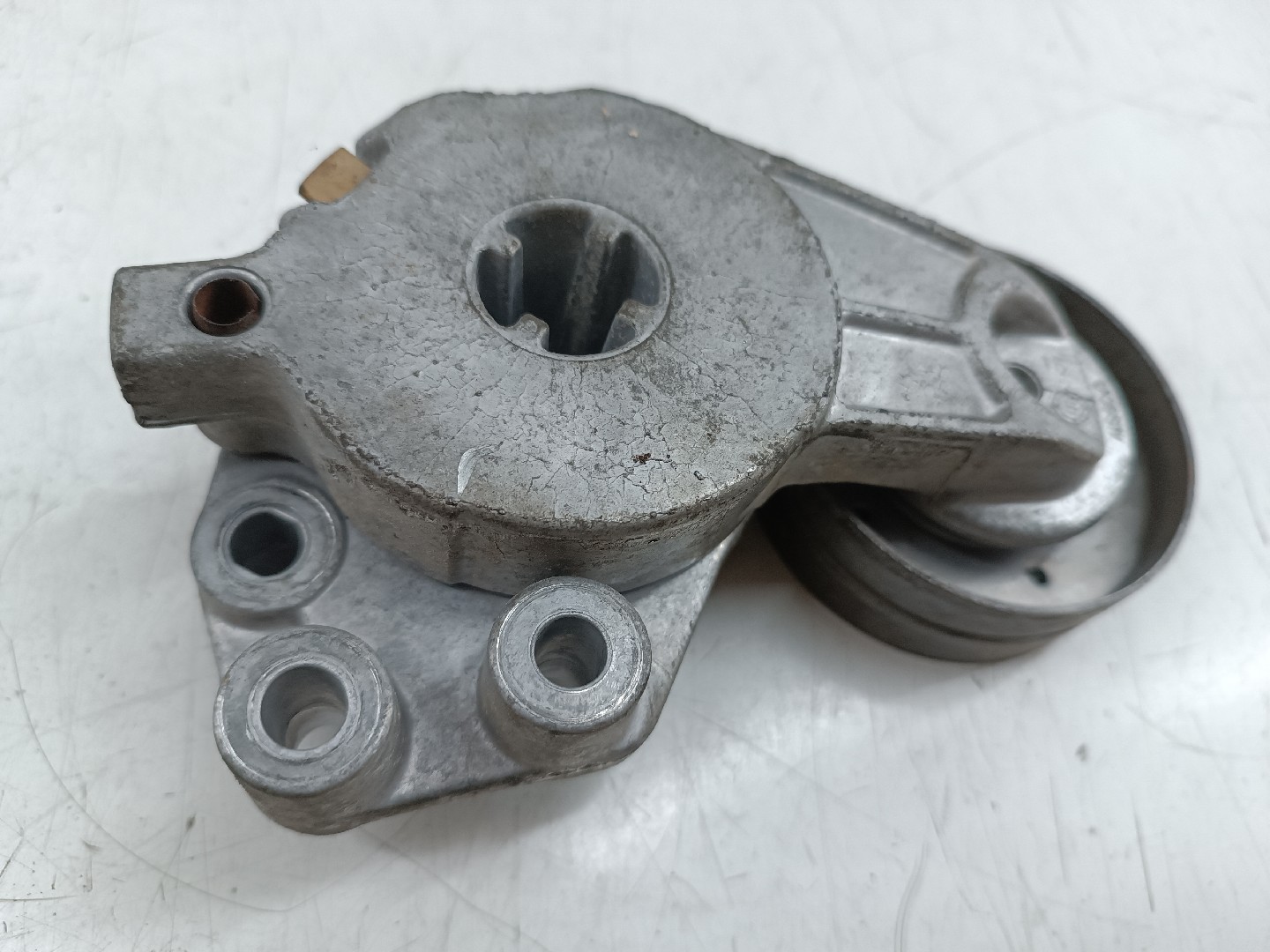 Rolo tensor, correia trapezoidal VOLKSWAGEN POLO (6R1, 6C1) | 09 -  Imagem-3