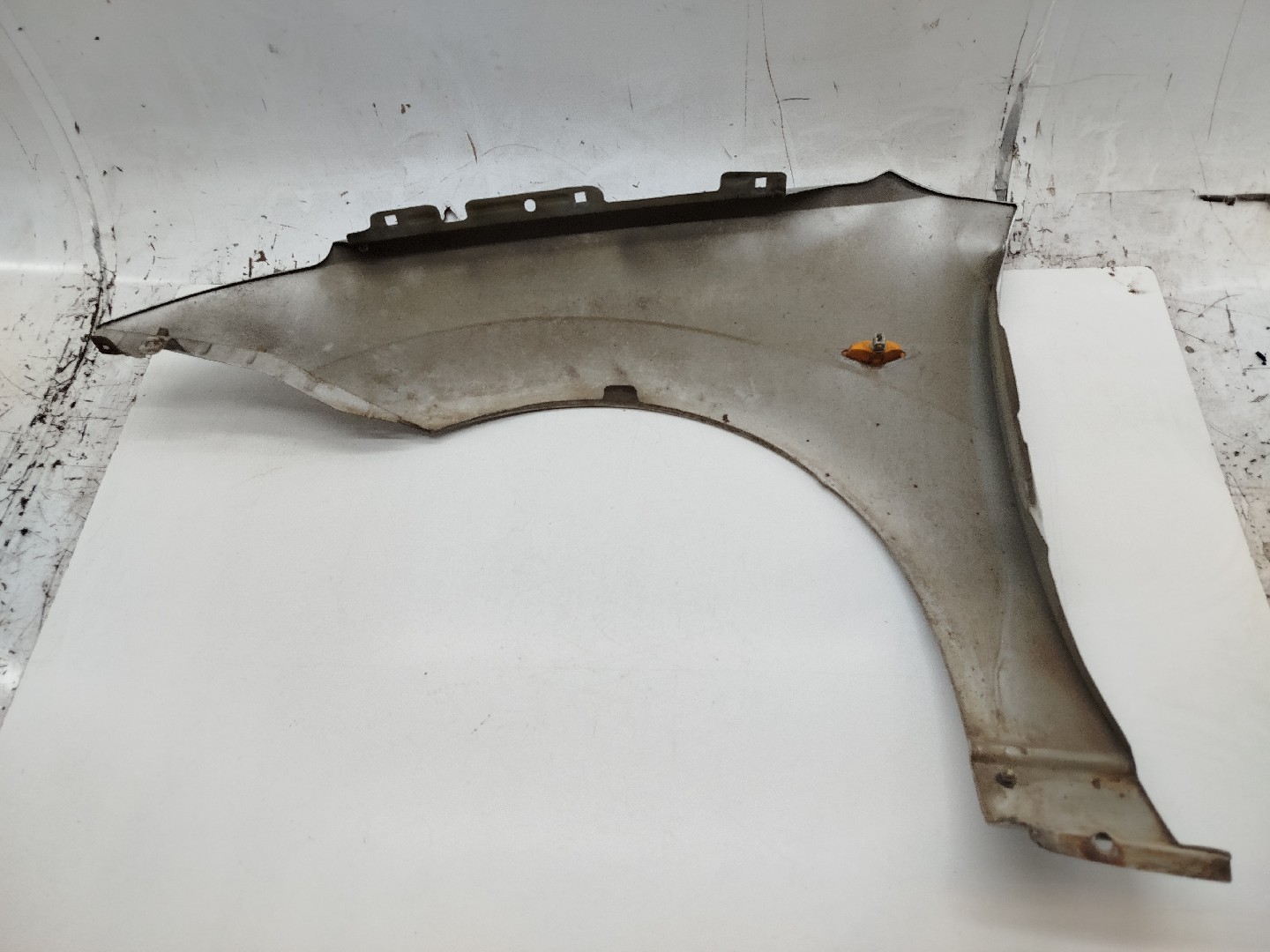 Guarda Lamas Direito FORD FOCUS (DAW, DBW) | 98 - 09 Imagem-5