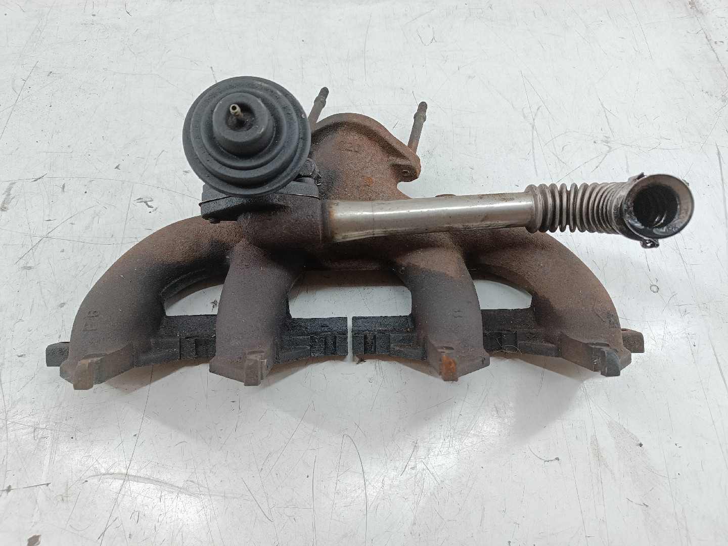 Coletor de Escape RENAULT CLIO I (B/C57_, 5/357_) | 90 - 98 Imagem-3