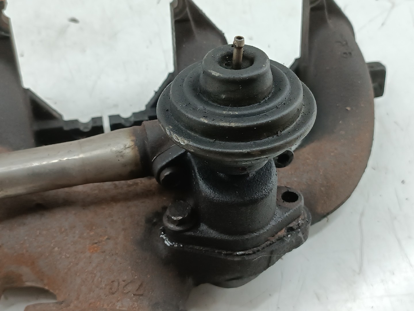 Coletor de Escape RENAULT CLIO I (B/C57_, 5/357_) | 90 - 98 Imagem-1