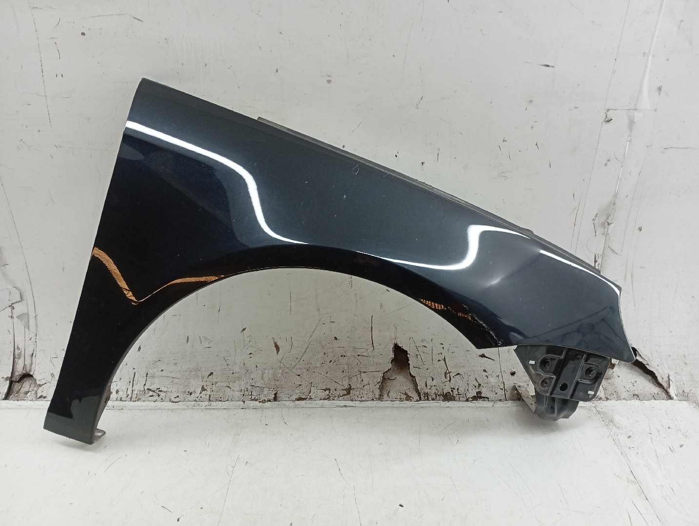 Guarda Lamas Direito VOLKSWAGEN EOS (1F7, 1F8) | 06 - 15