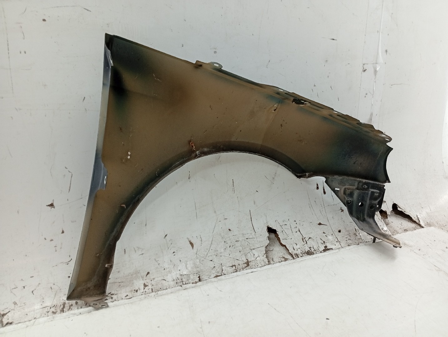 Guarda Lamas Esquerdo VOLKSWAGEN EOS (1F7, 1F8) | 06 - 15 Imagem-4