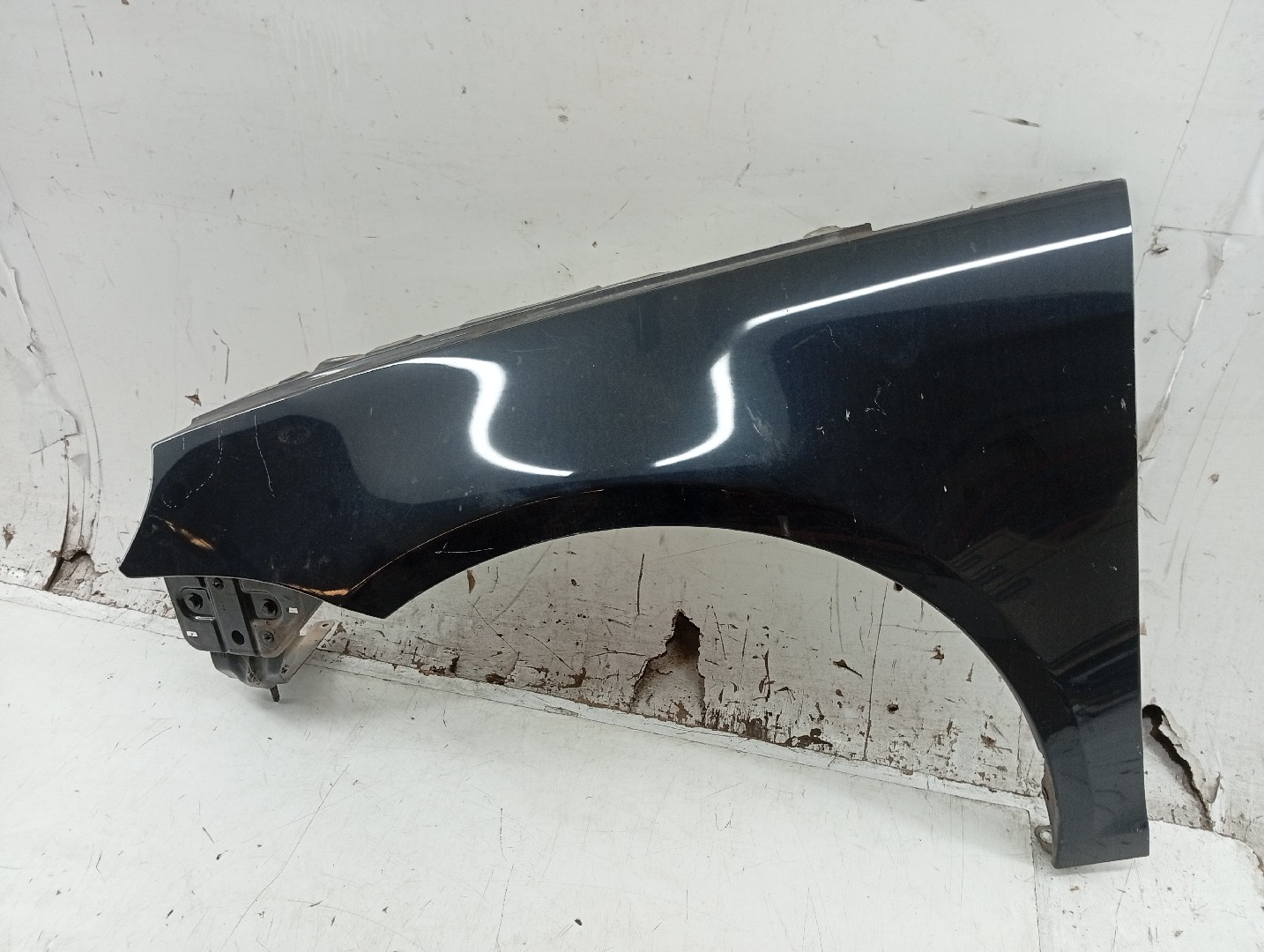 Guarda Lamas Esquerdo VOLKSWAGEN EOS (1F7, 1F8) | 06 - 15 Imagem-1