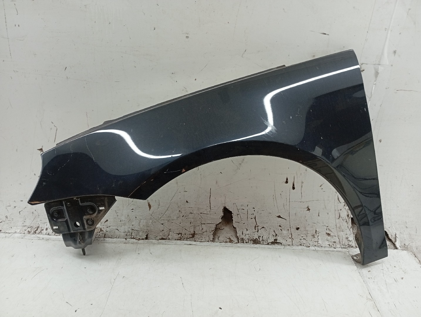 Guarda Lamas Esquerdo VOLKSWAGEN EOS (1F7, 1F8) | 06 - 15