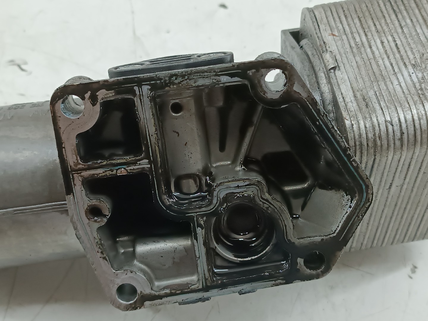 Radiador do Óleo AUDI A3 (8P1) | 03 - 13 Imagem-3