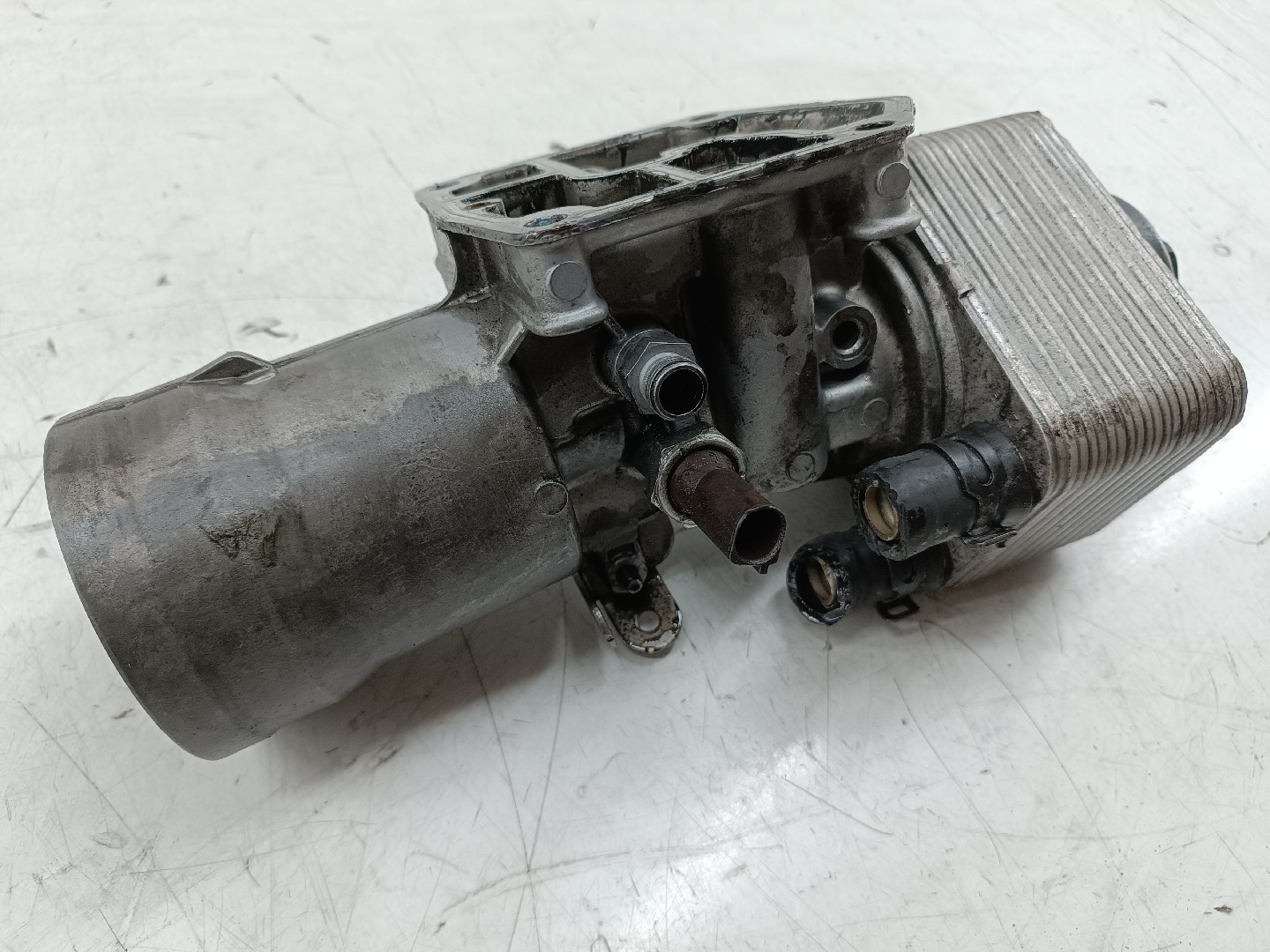 Radiador do Óleo AUDI A3 (8P1) | 03 - 13 Imagem-5