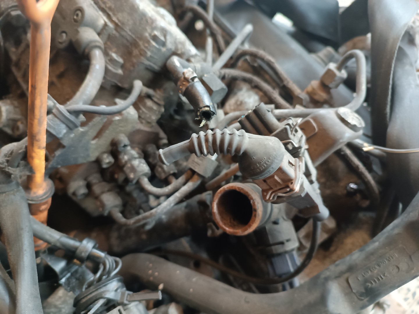 Motor AUDI A4 Avant (8D5, B5) | 94 - 02 Imagem-2