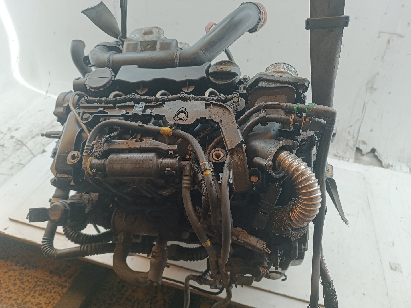 Motor CITROEN BERLINGO / BERLINGO FIRST Caixa (M_) | 96 - 11