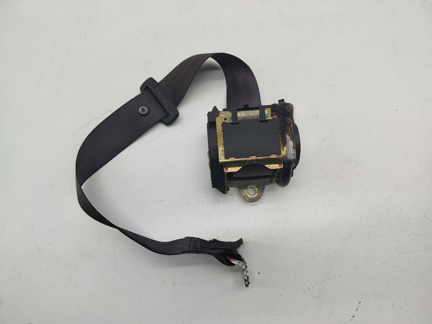 Cinto Traseiro Direito AUDI A4 Avant (8D5, B5) | 94 - 02